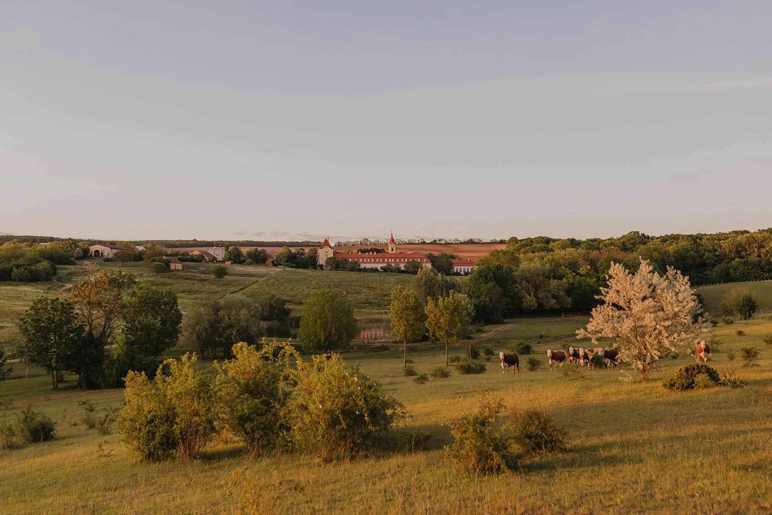 Off site in Hotel Château Bela