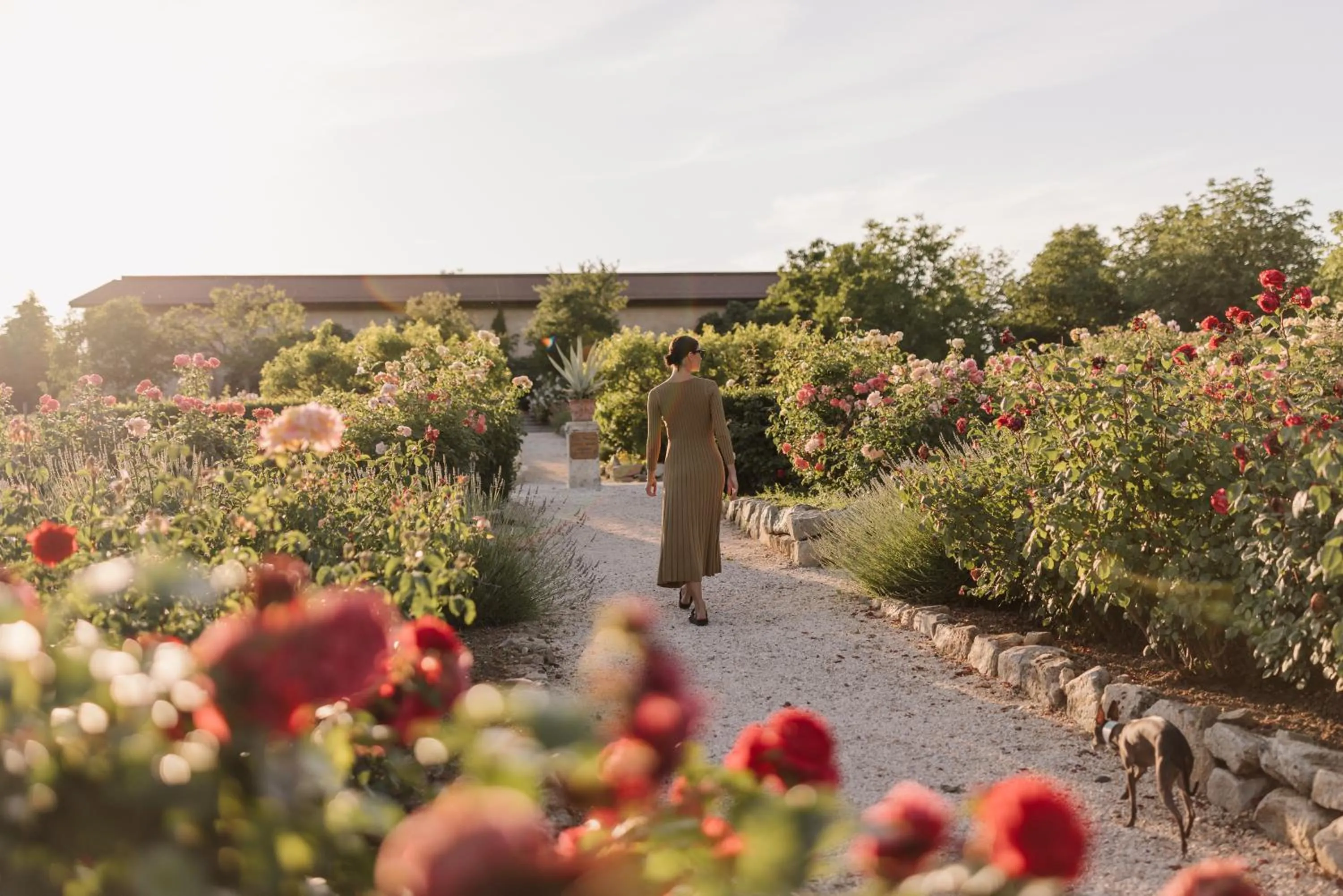 Garden in Hotel Château Bela