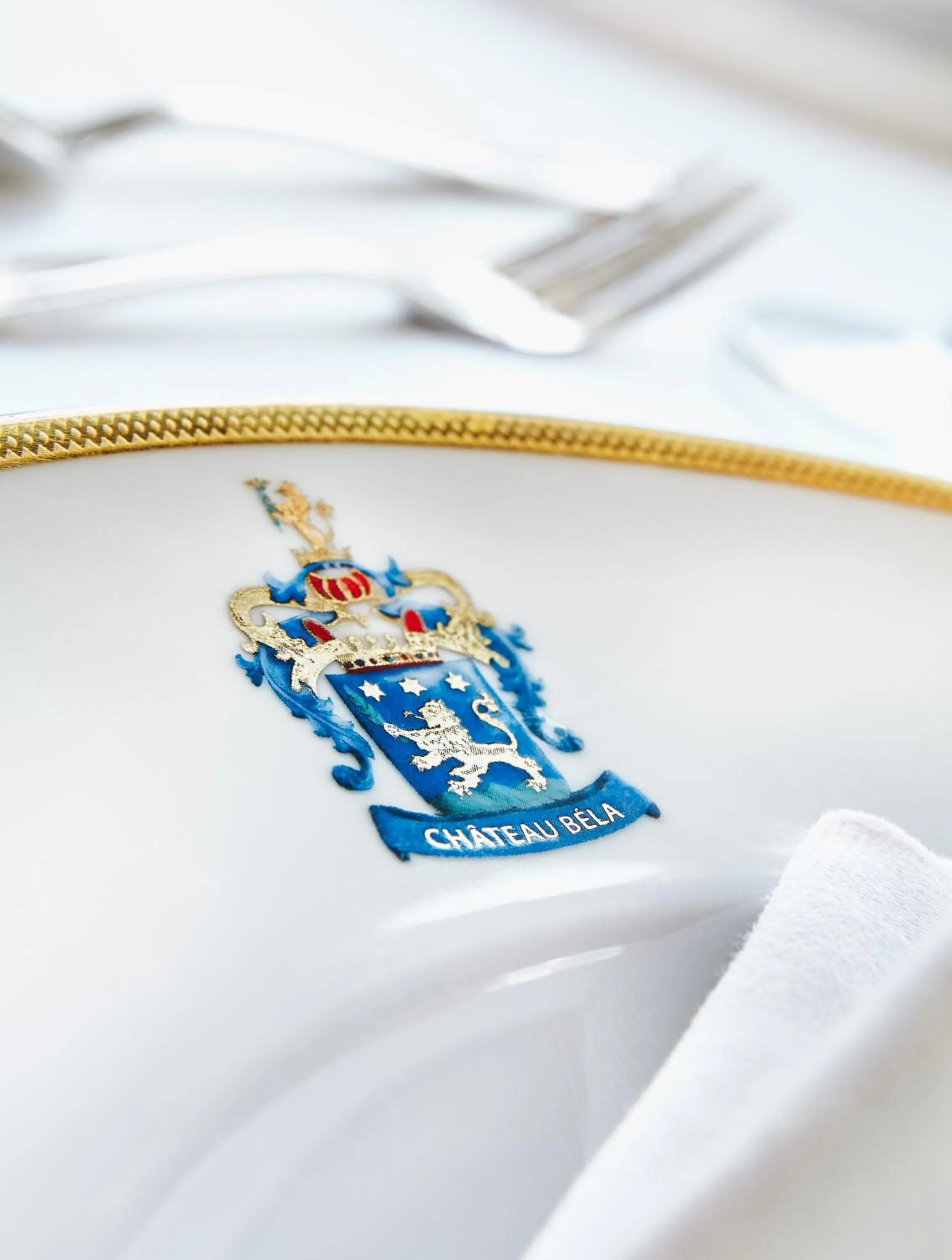 Property logo or sign in Hotel Château Bela