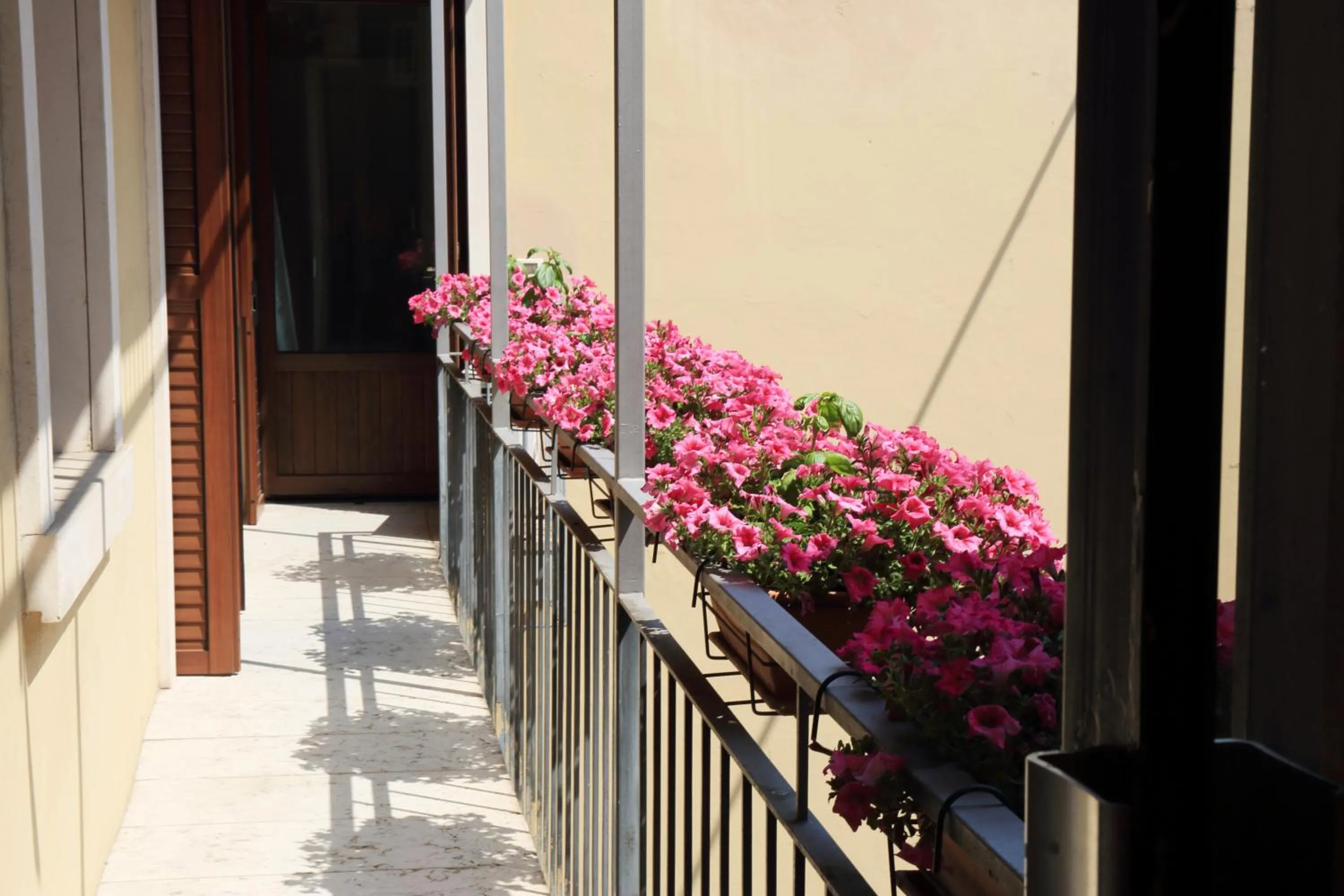 Spring in Appartamenti Museo