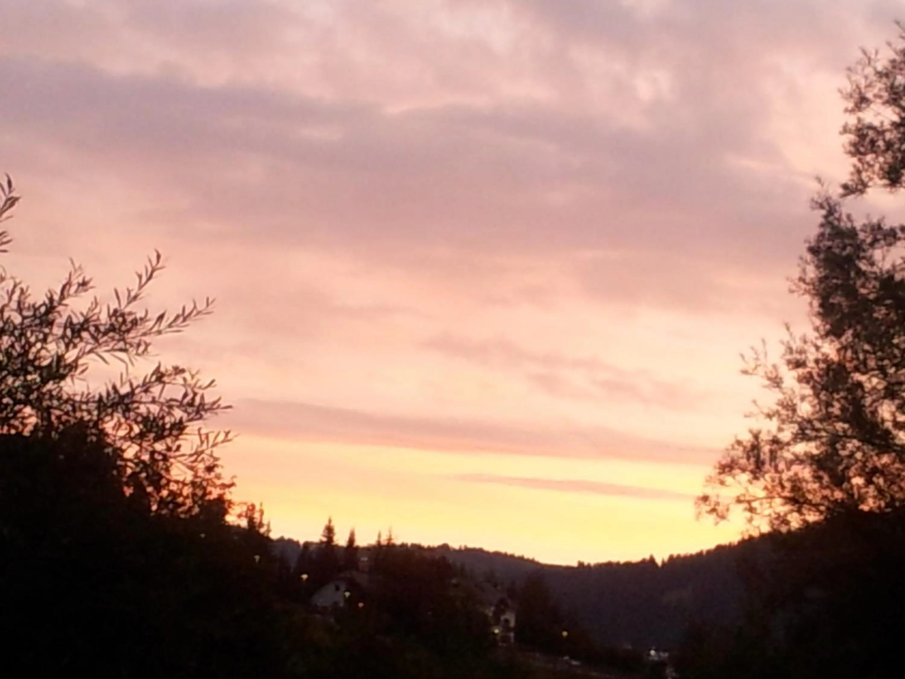 View (from property/room) in Garni La Ciasota 3s