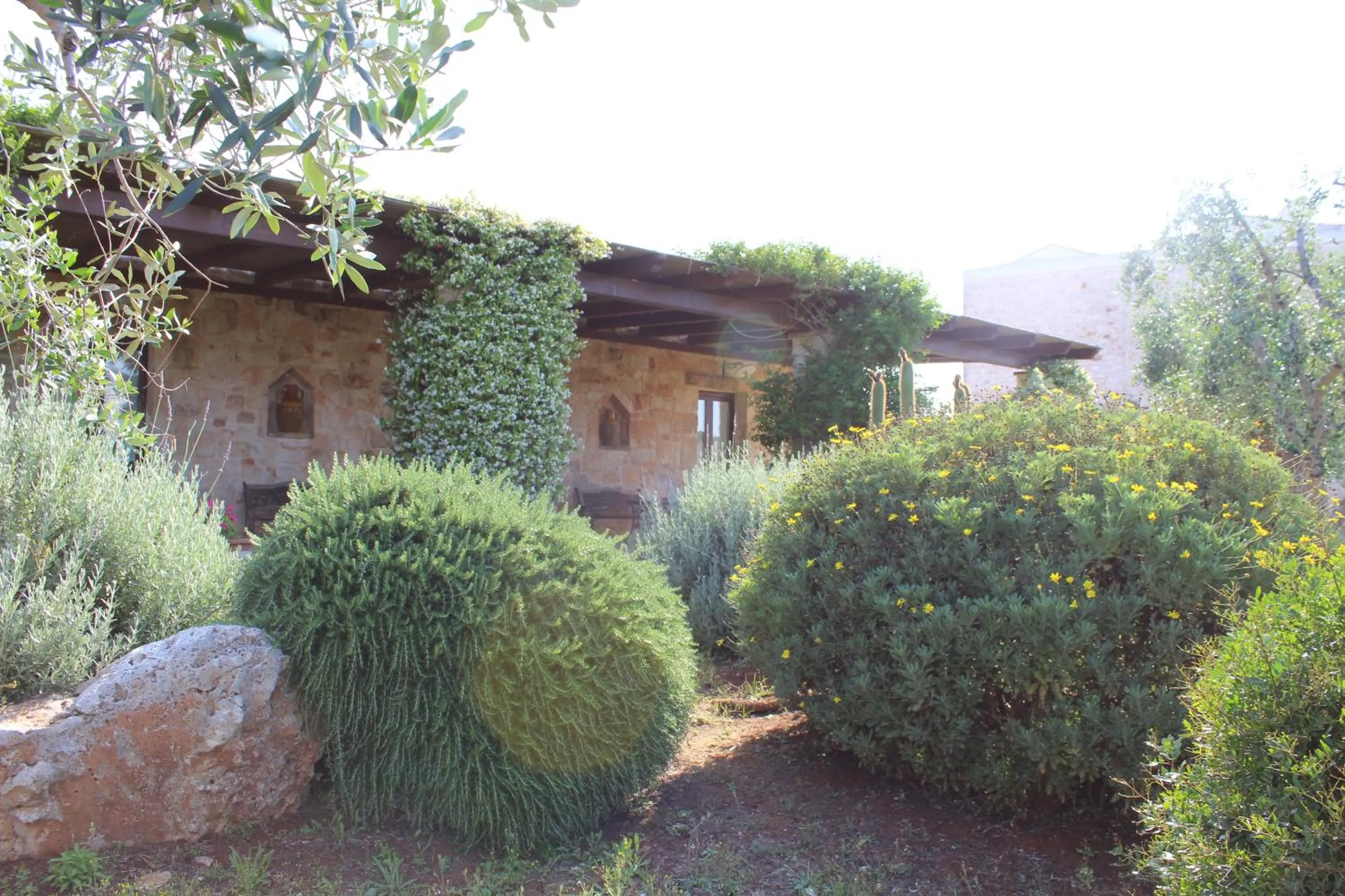 Property building in Masseria Tolla