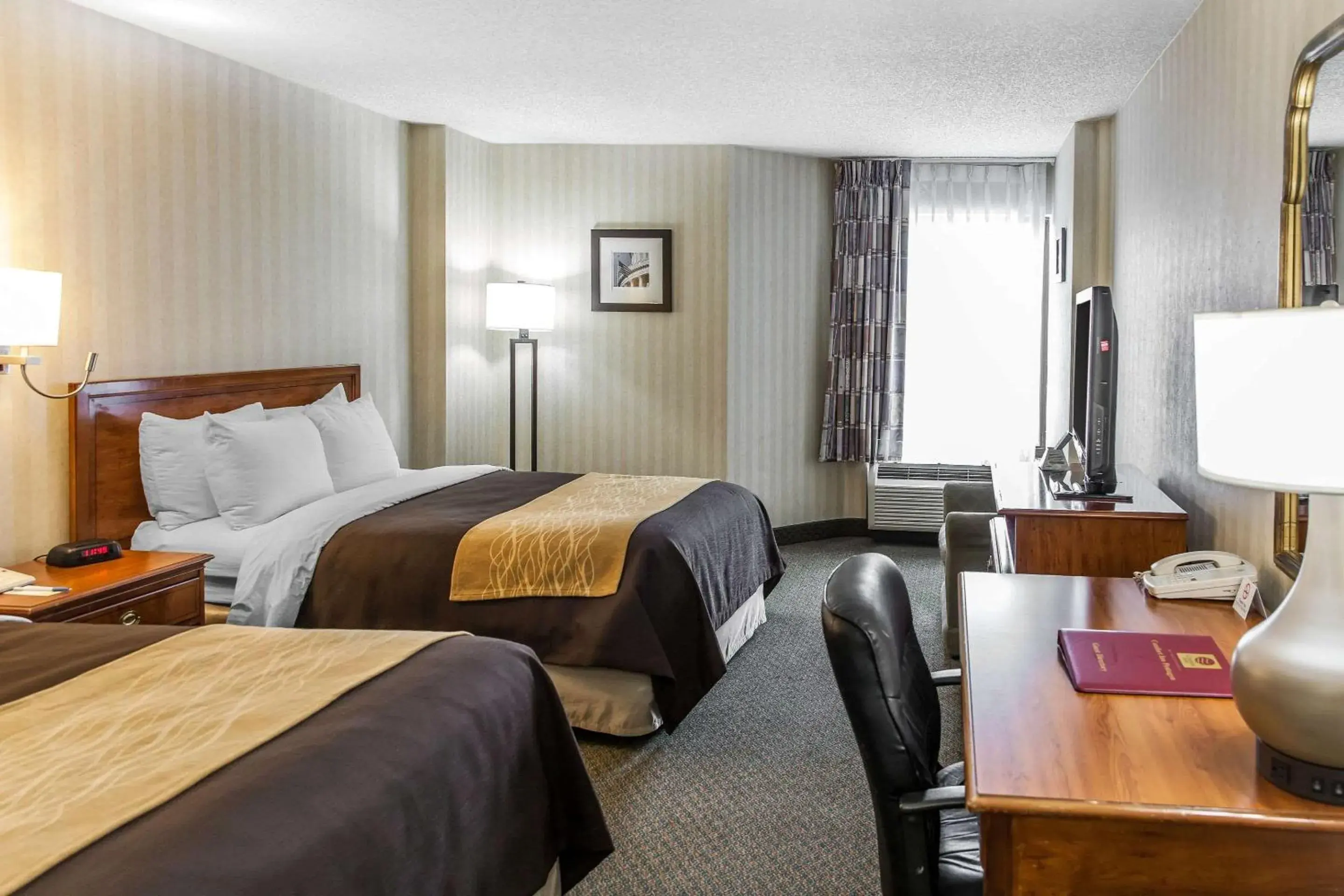 Photo of the whole room in Comfort Inn Pentagon City Photo of the whole room in Comfort Inn Pentagon City