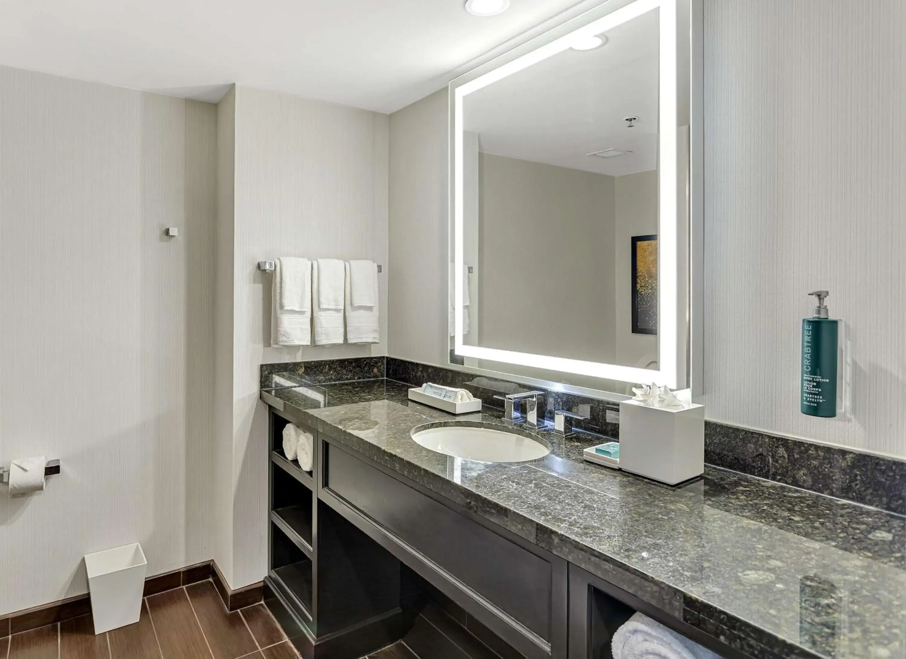 Bathroom in Hilton Miami Downtown Bathroom in Hilton Miami Downtown