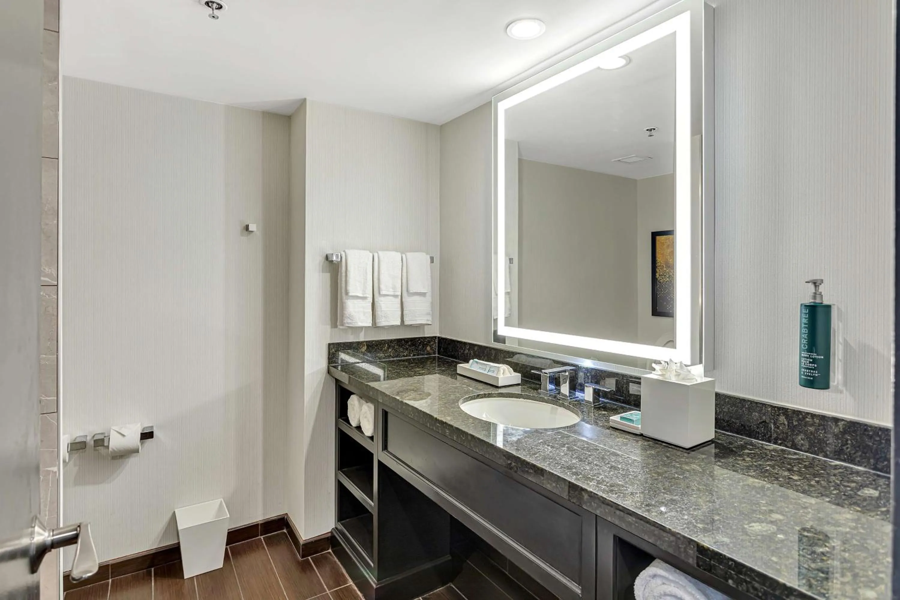 Bathroom in Hilton Miami Downtown