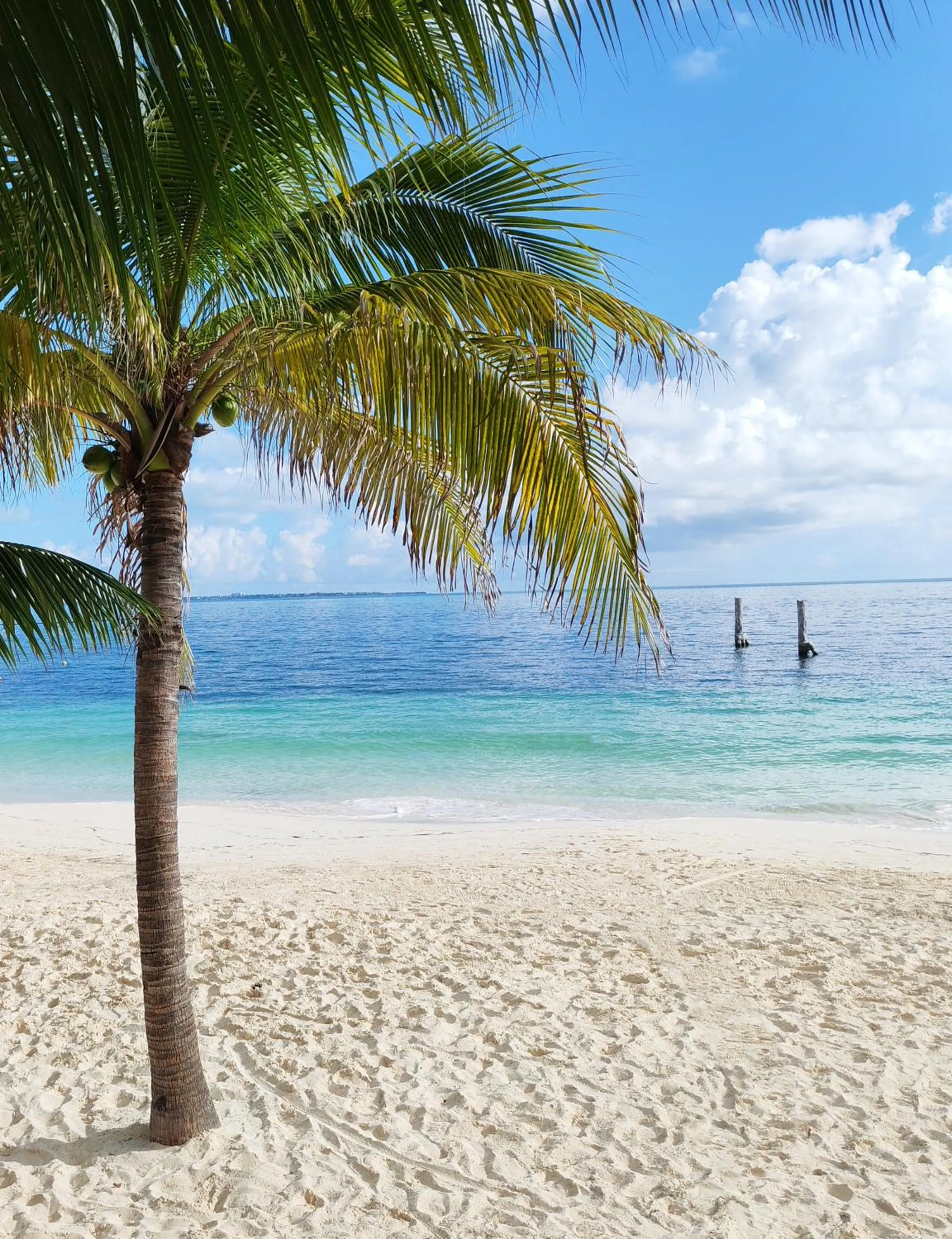 Beach in Hotel Maya Caribe Faranda Cancún