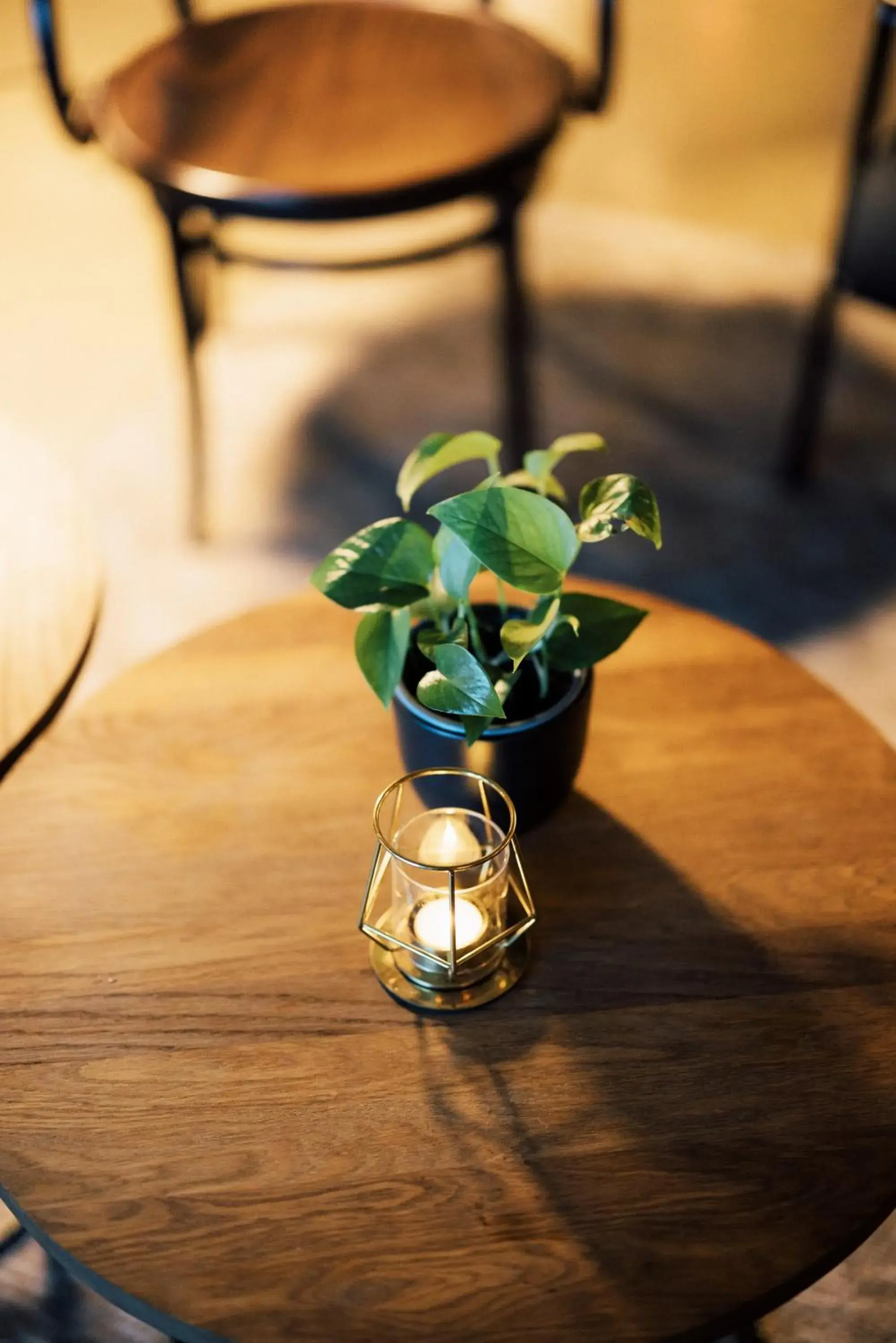 Lobby or reception in Exeter Hotel Lobby or reception in Exeter Hotel