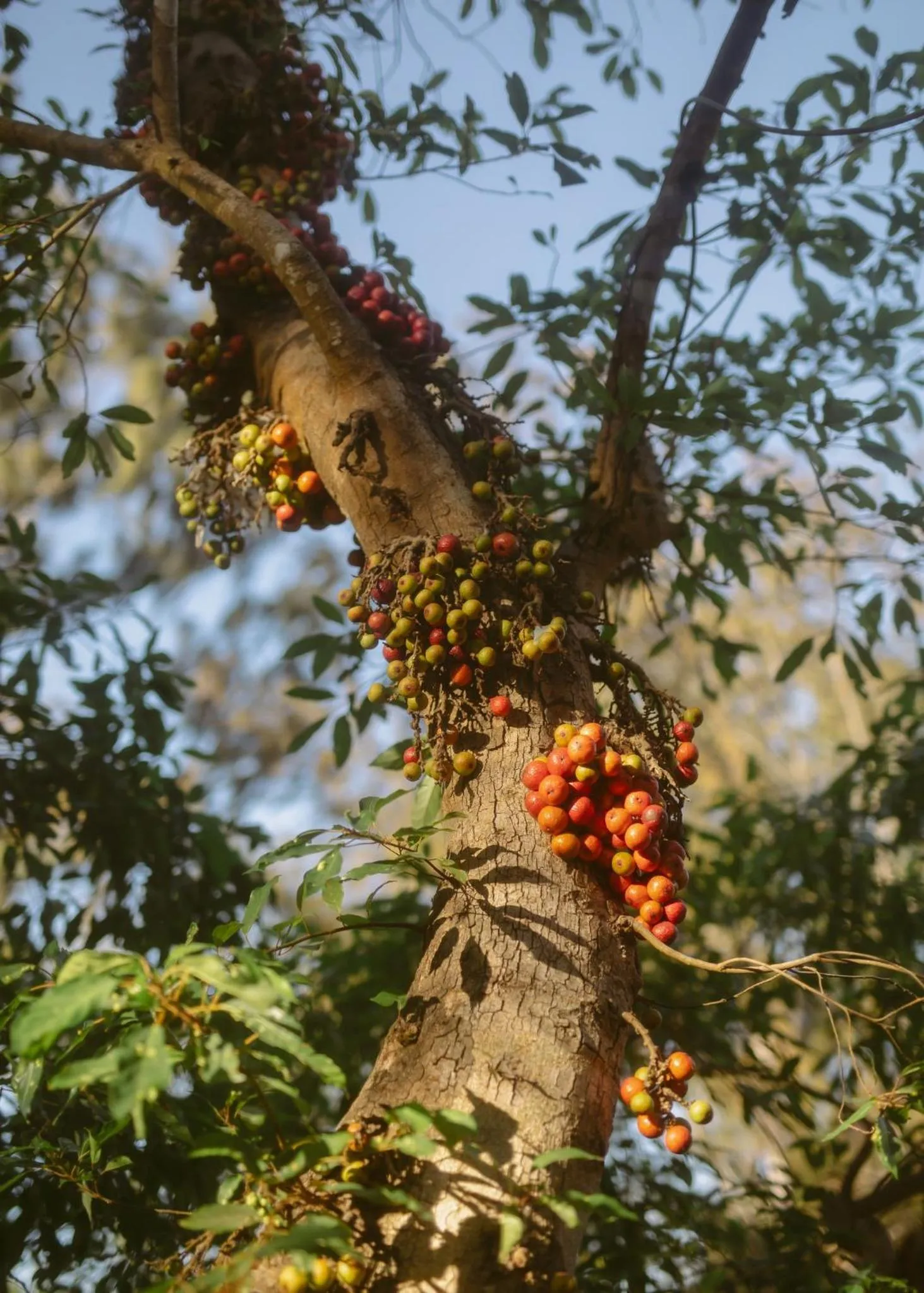 Ho Tram Beach Boutique Resort & Spa