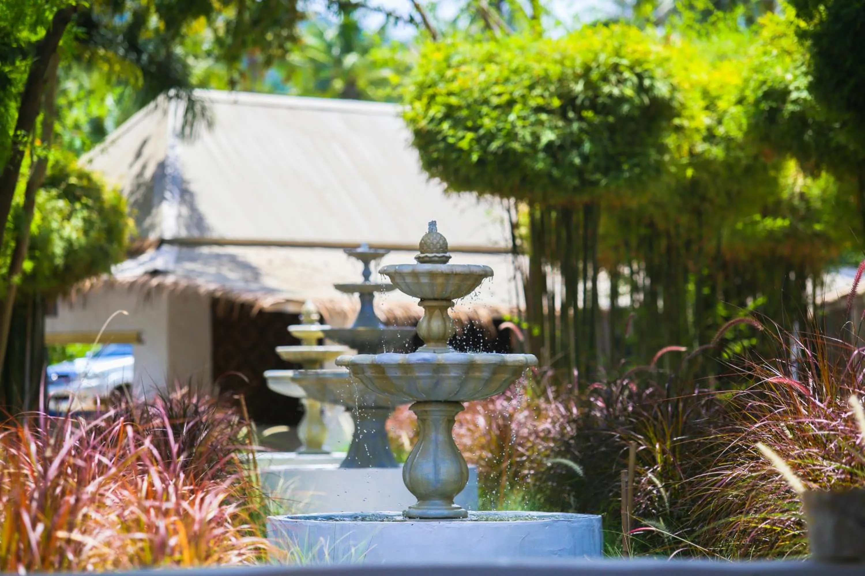 Garden in Lime N Soda Beachfront Resort