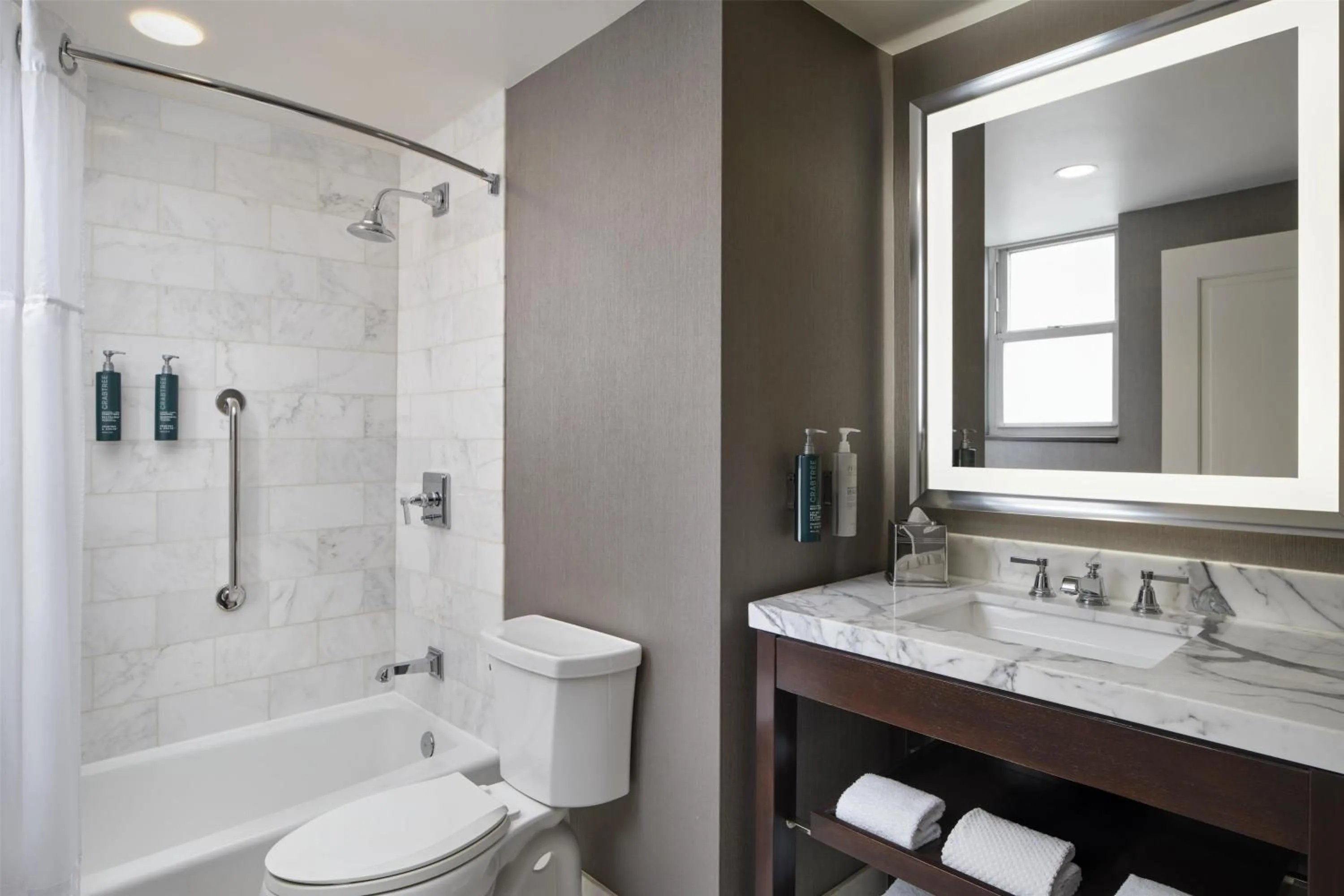 Bathroom in Hilton Chicago