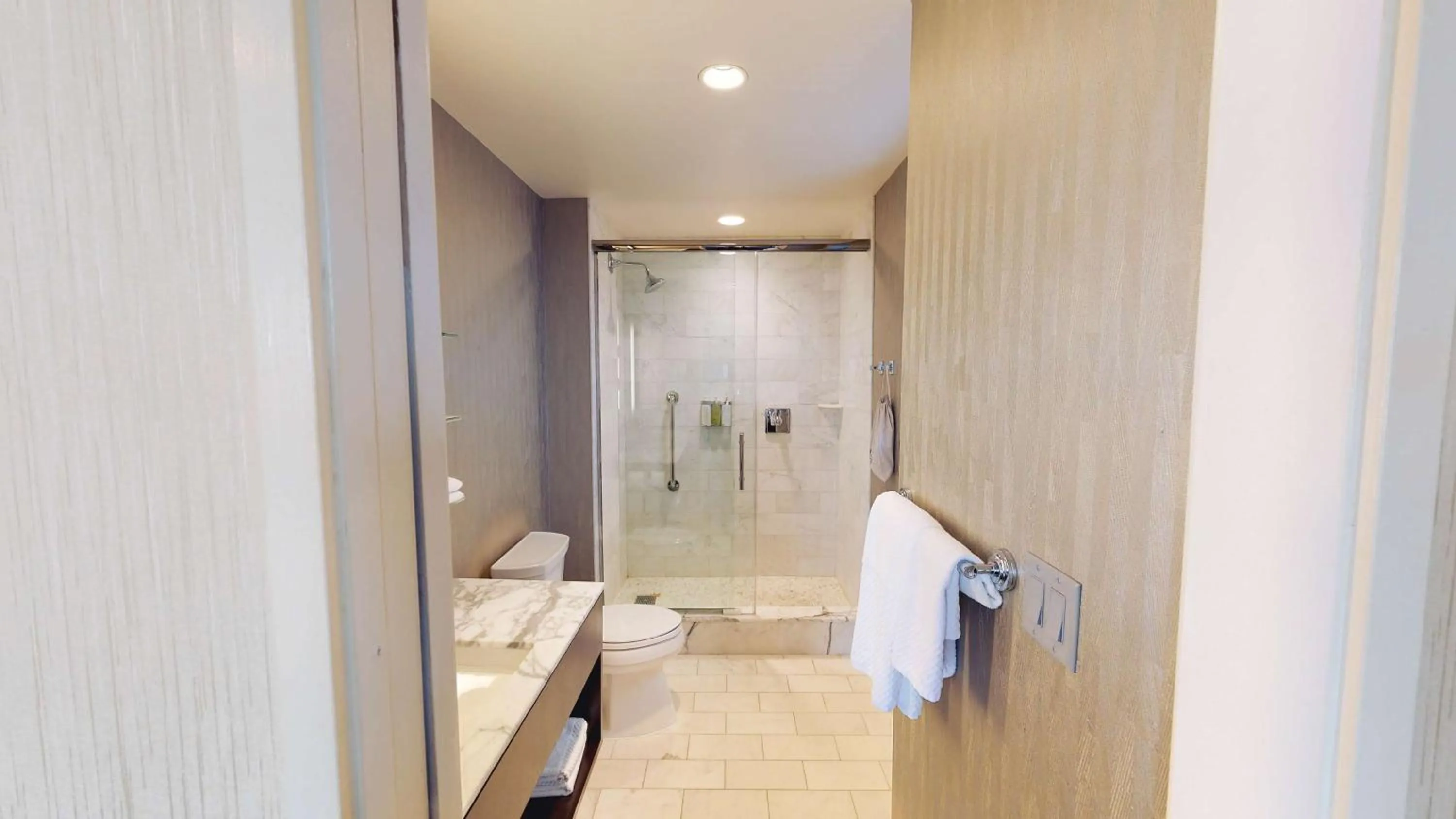 Bathroom in Hilton Chicago