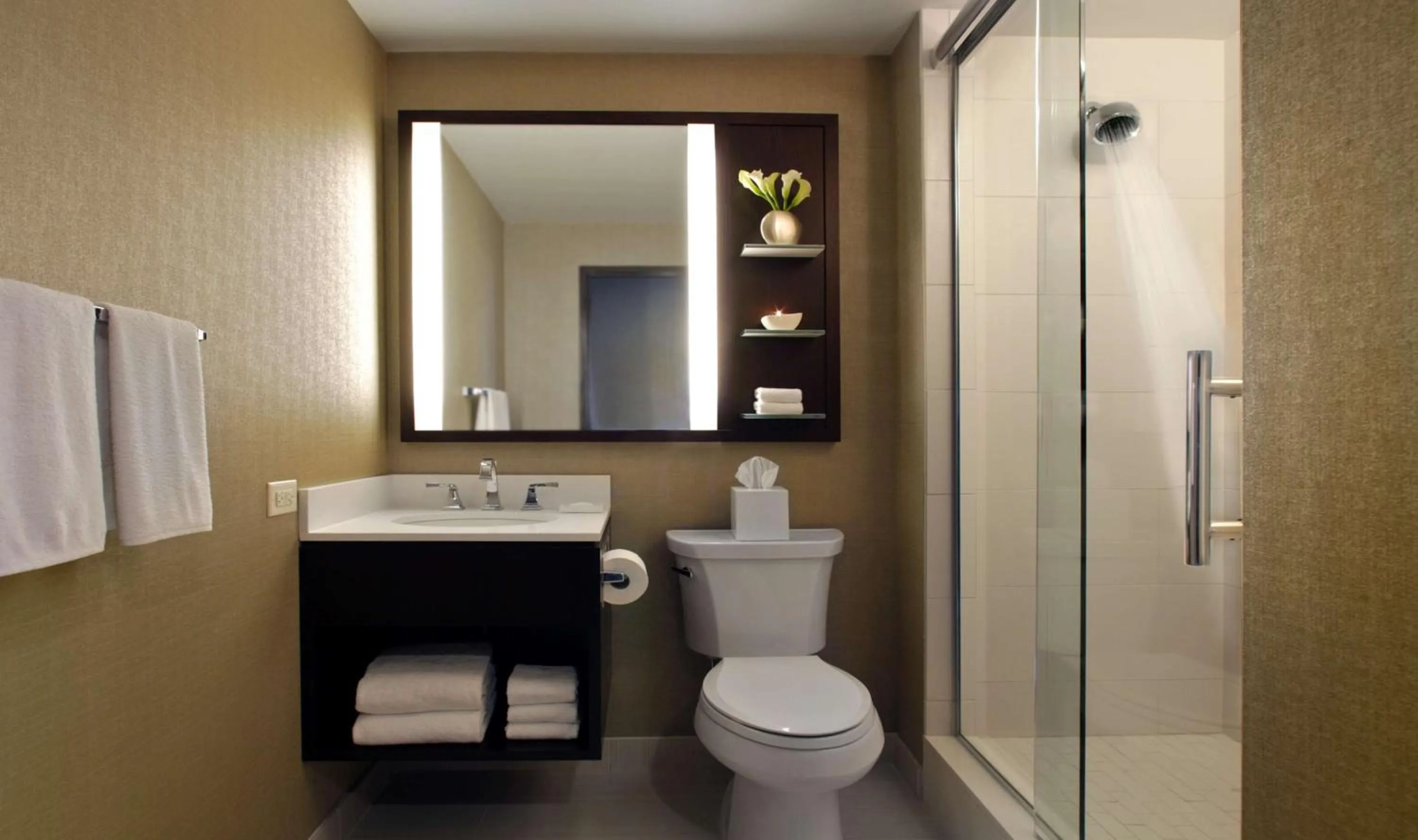 Bathroom in Hilton Chicago