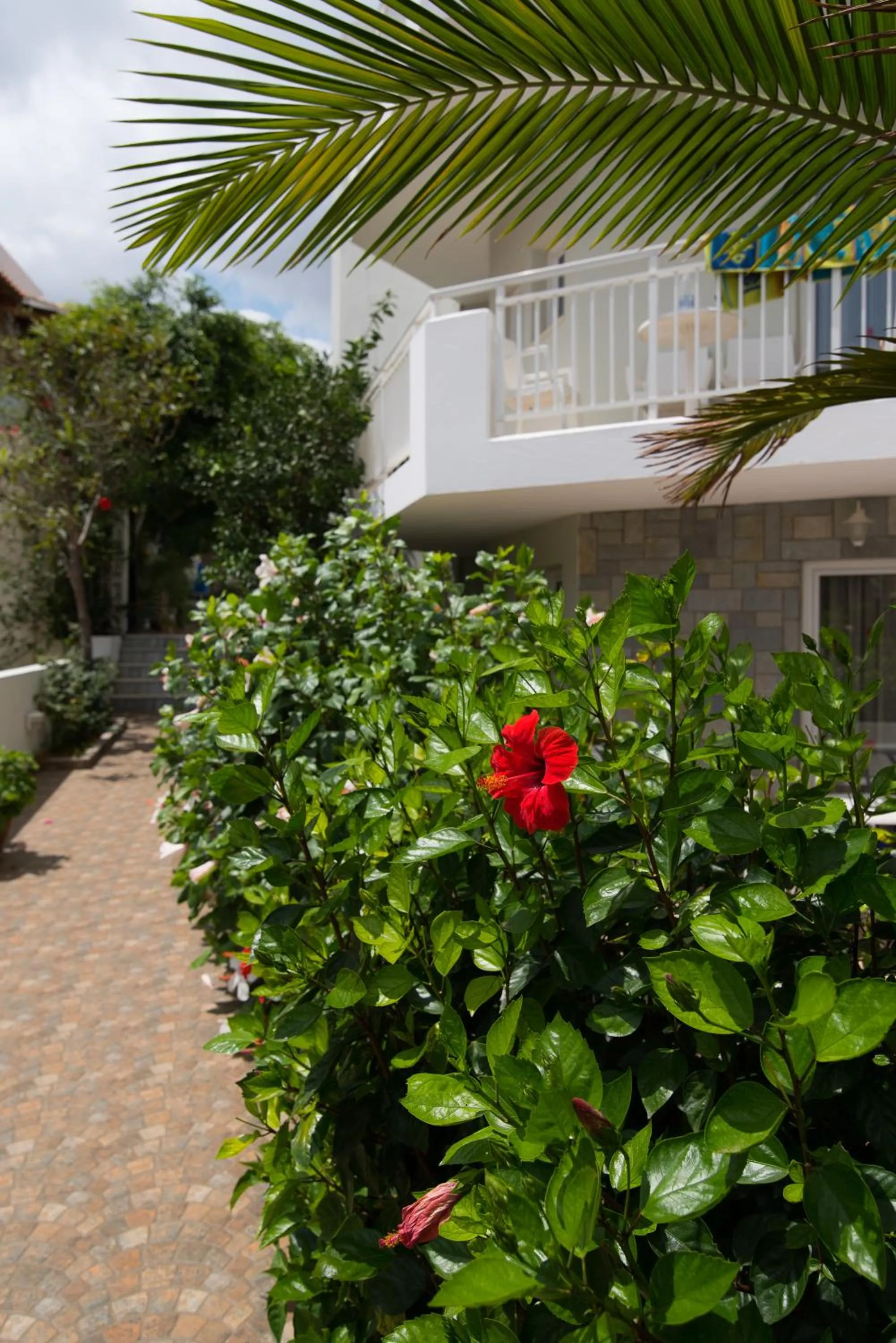 Facade/entrance in Melissa Apartments, Studios & Suites