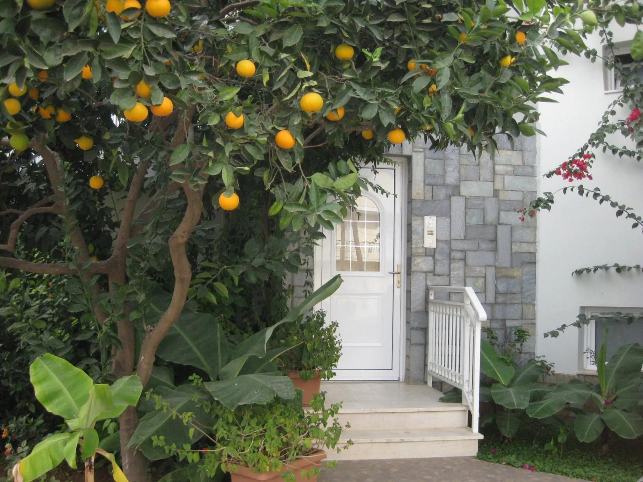 Garden in Melissa Apartments, Studios & Suites