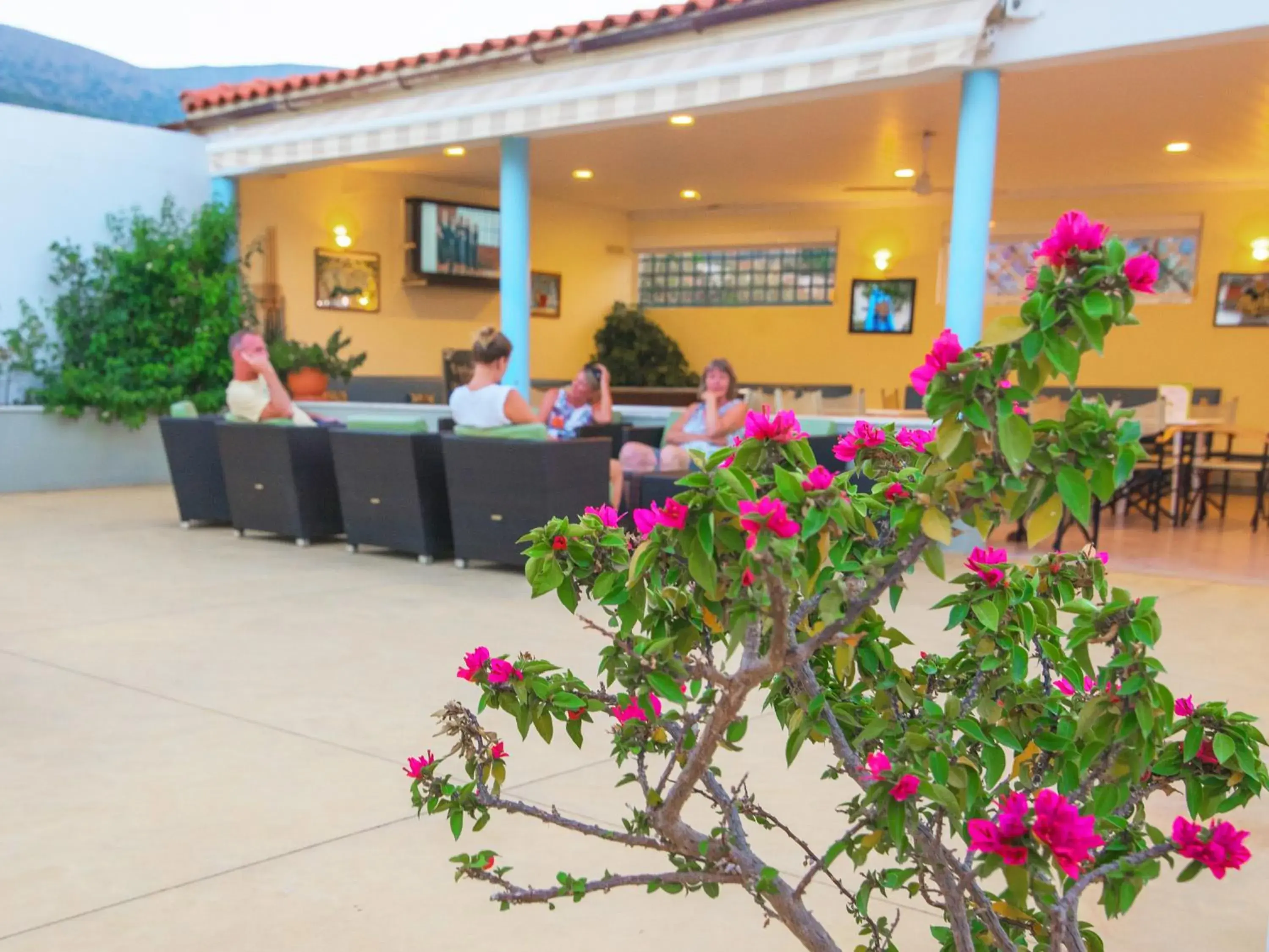 Lounge or bar in Melissa Apartments, Studios & Suites Lounge or bar in Melissa Apartments, Studios & Suites