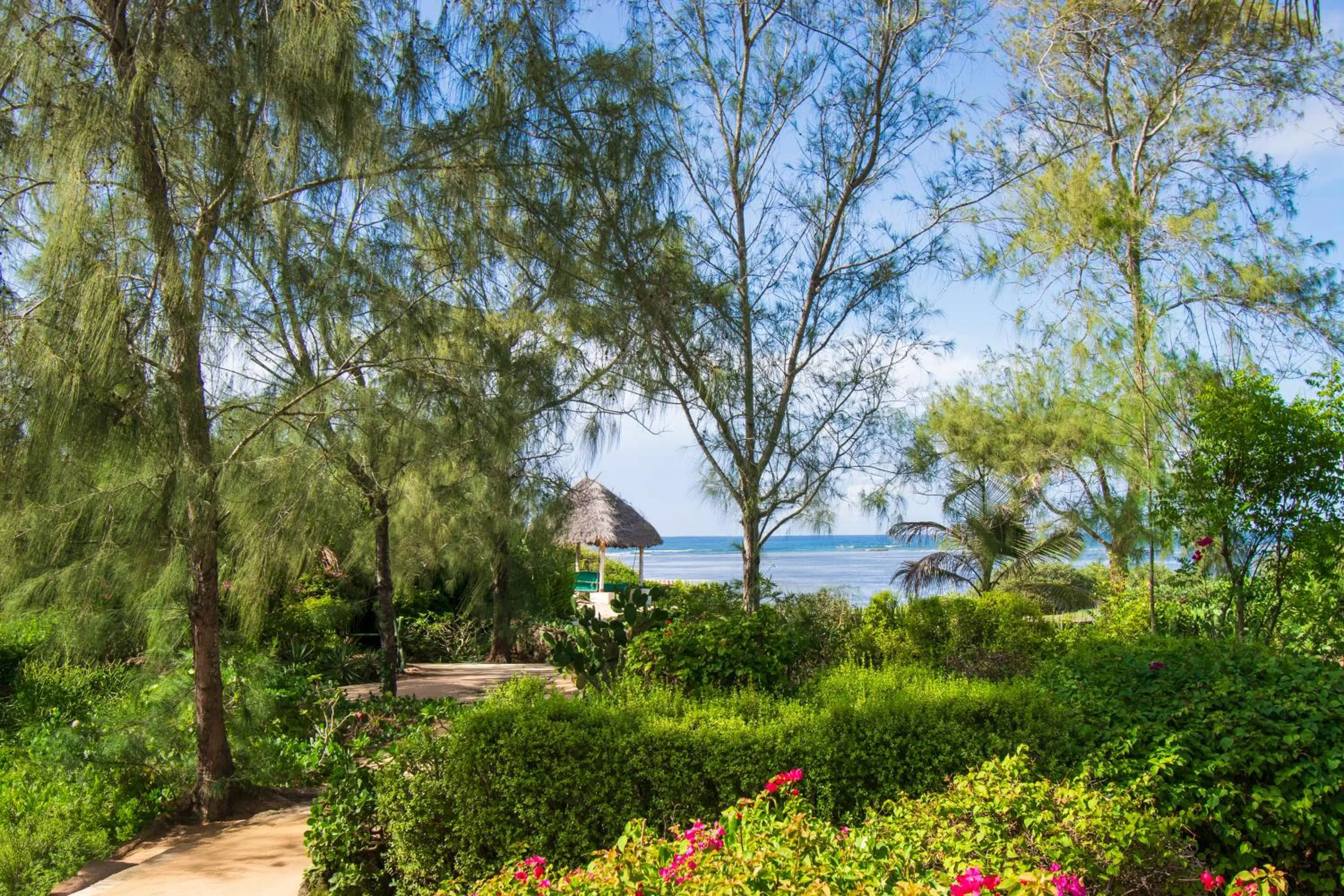 Natural landscape in The Charming Lonno Lodge Watamu