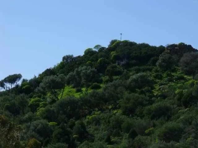 L'arcobaleno di Chia CIN IT11101CE