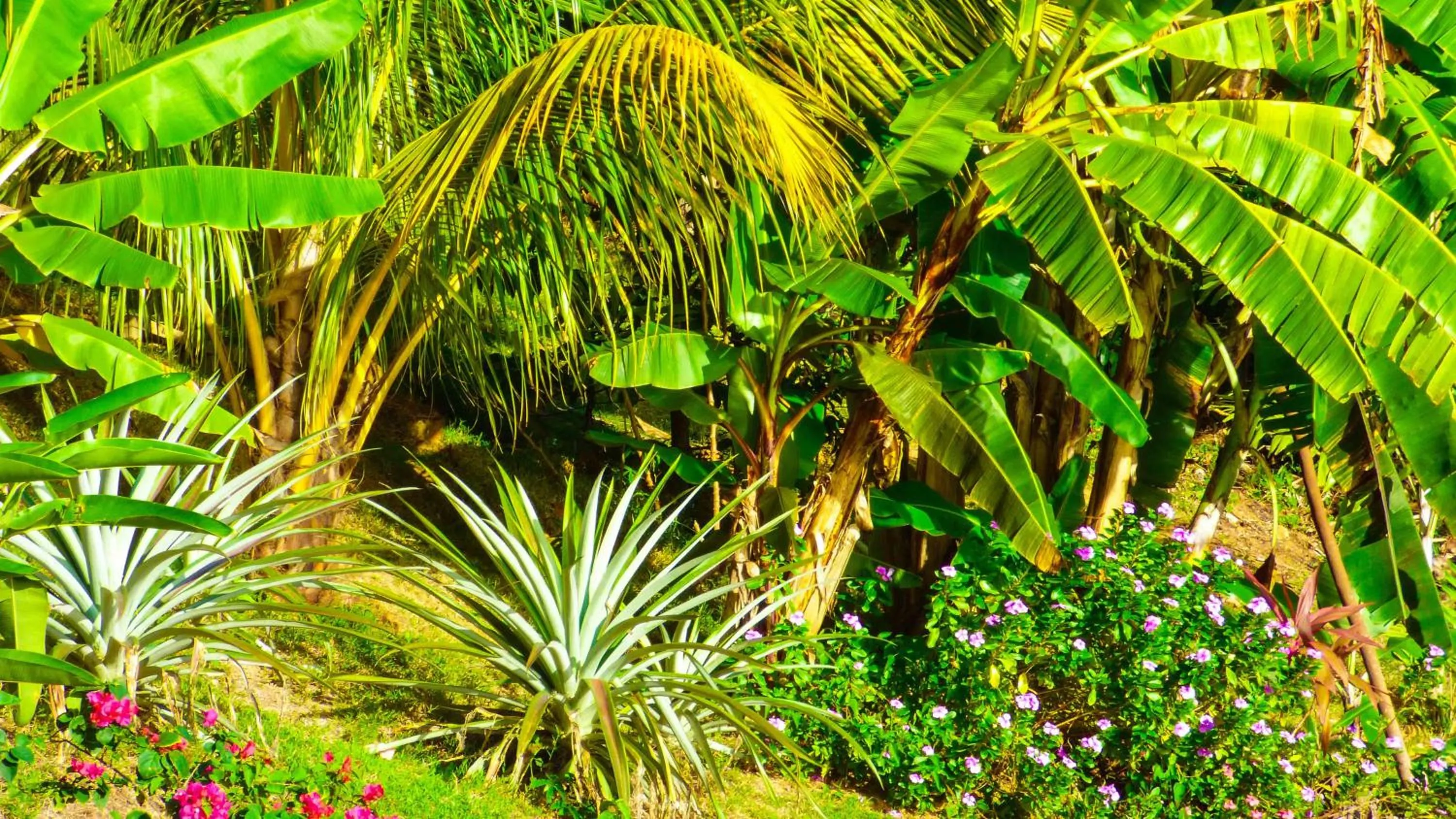 Natural landscape in Mouggae Blues Villas