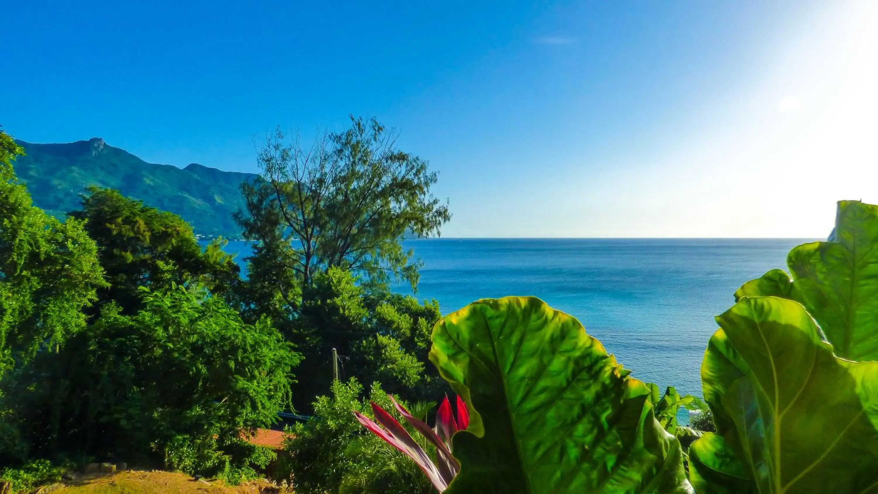 Garden in Mouggae Blues Villas