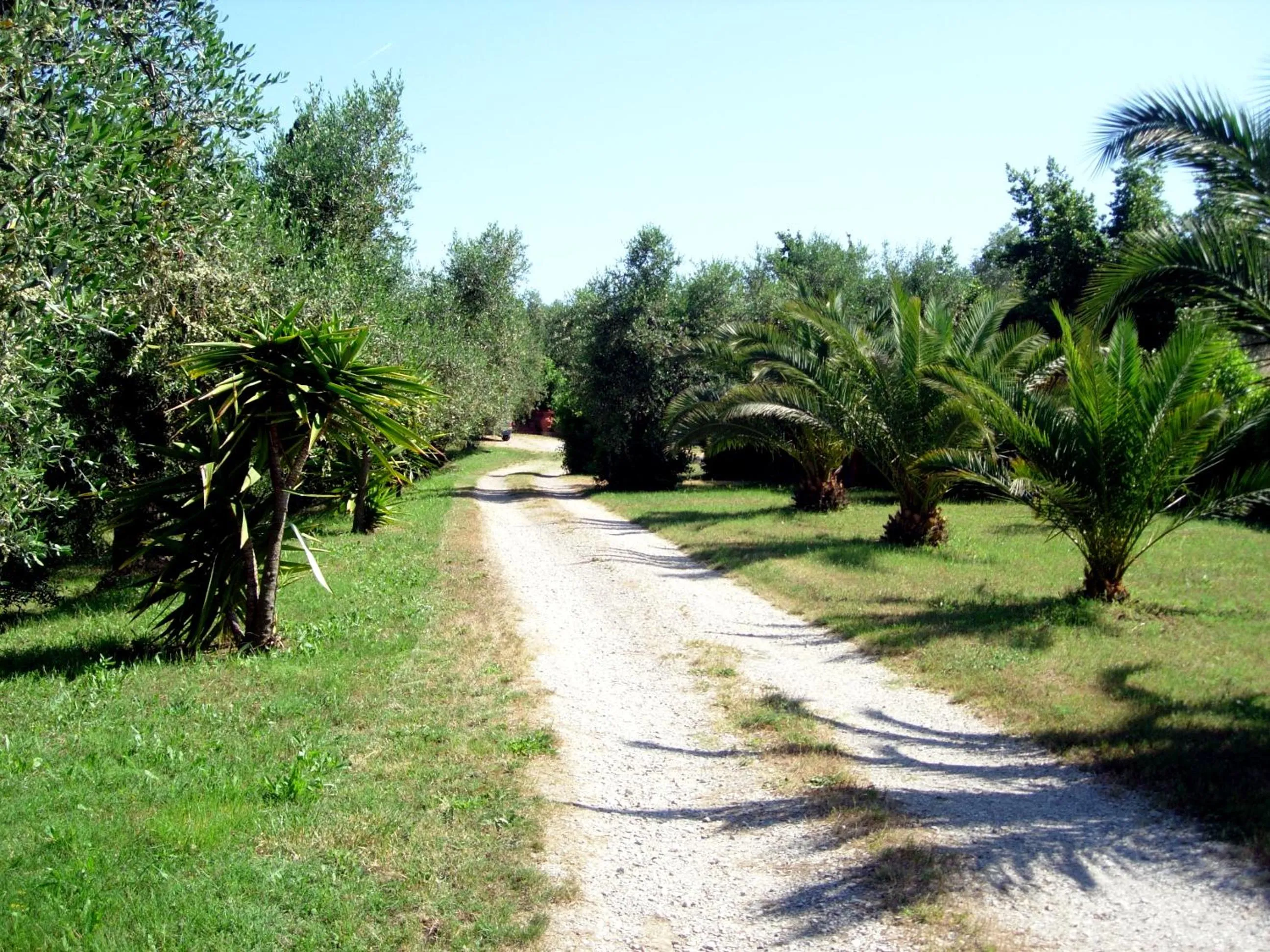 Residenza La Limonaia