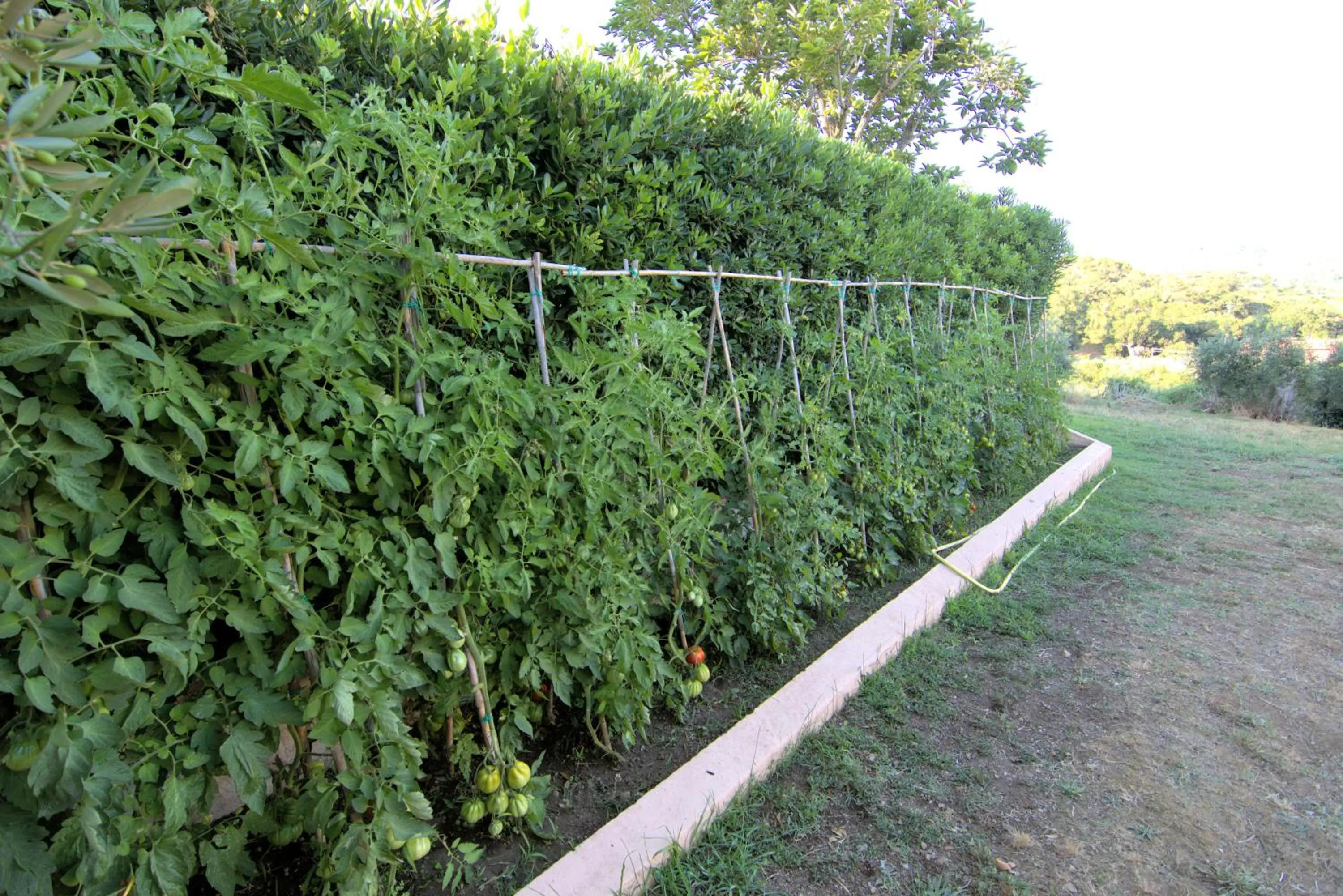 Residenza La Limonaia