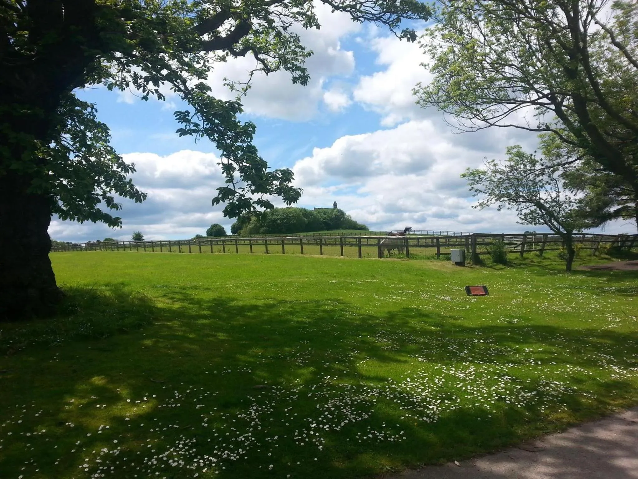 Garden in Burythorpe House