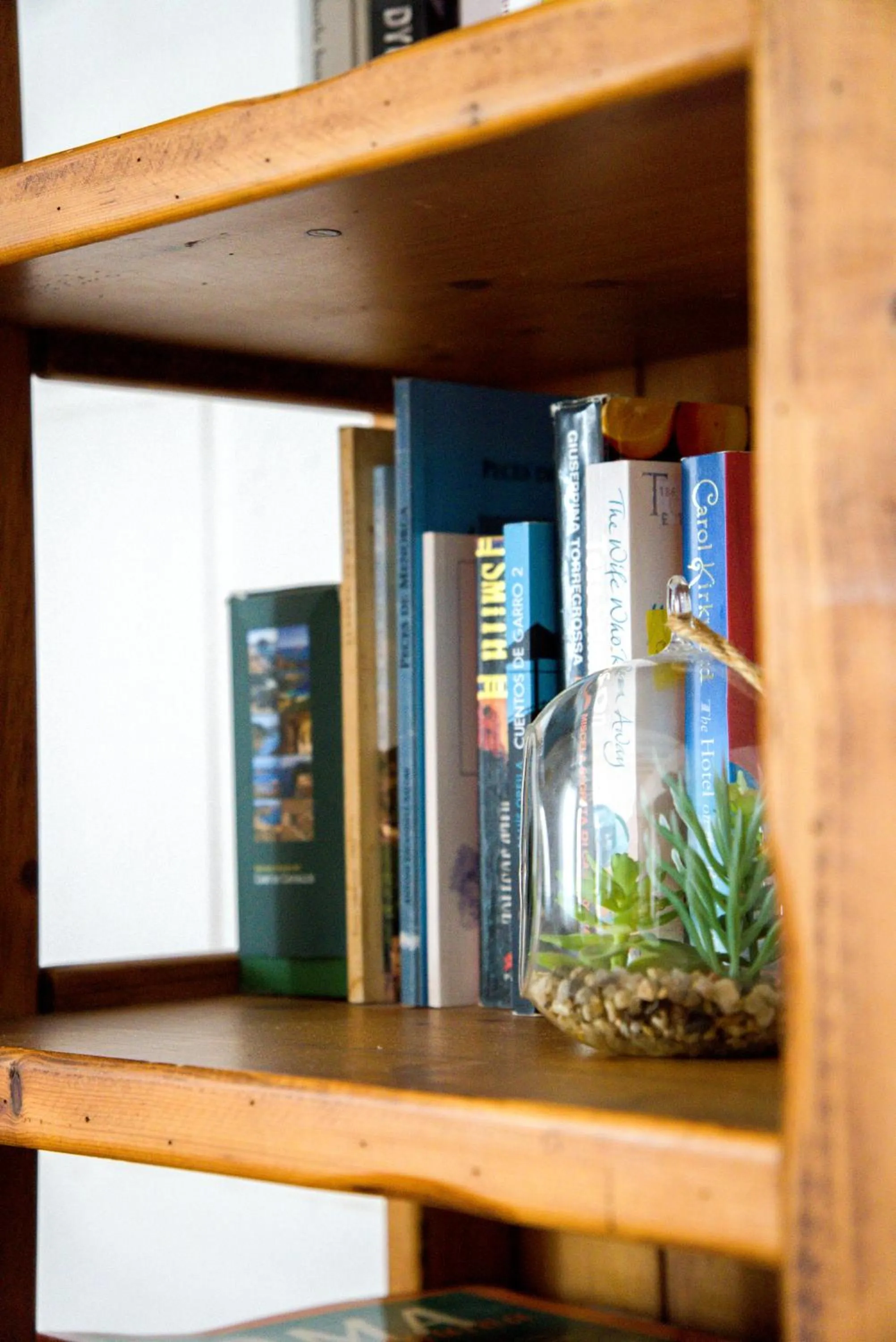 Library in Agroturismo Binissafullet Vell