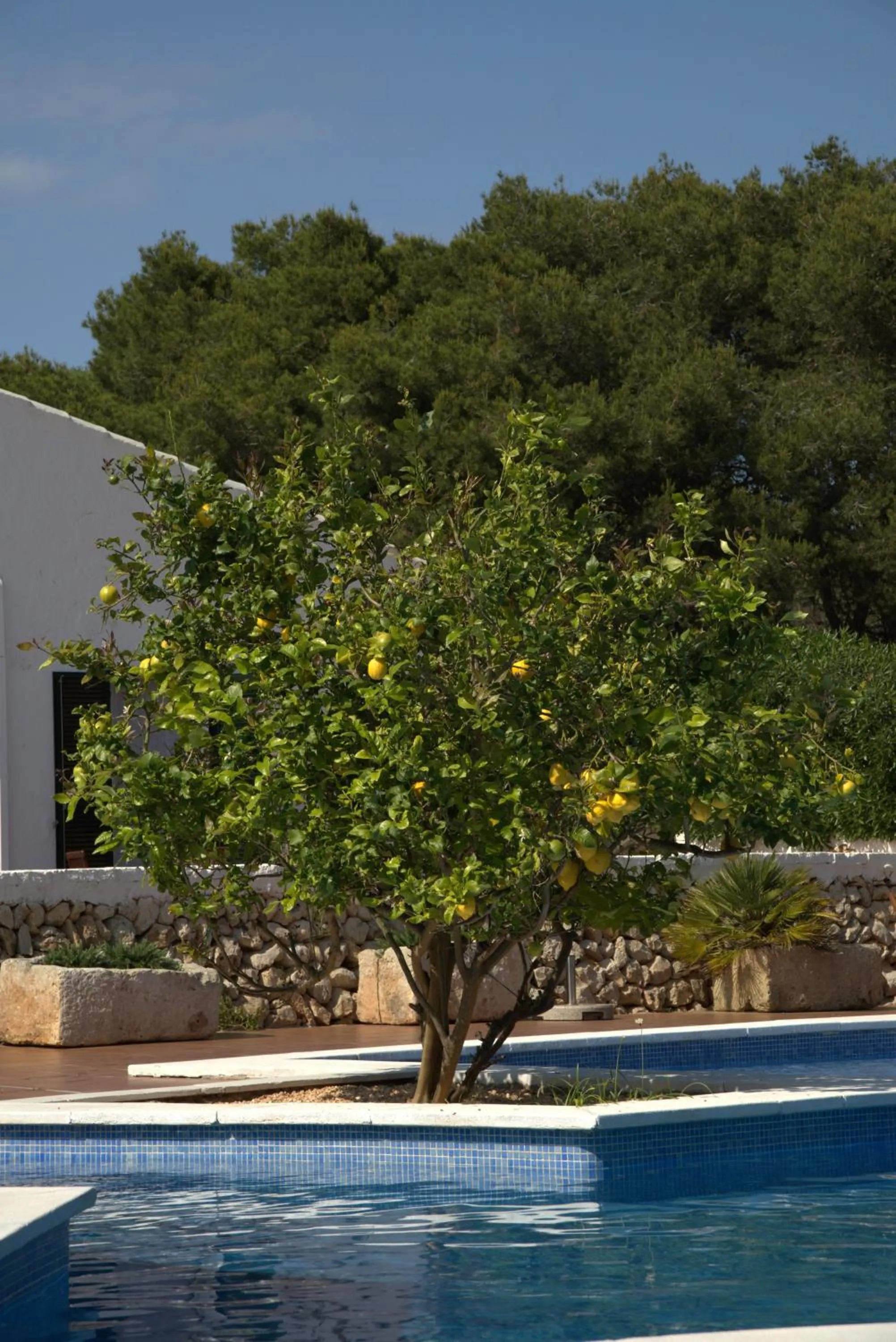 Swimming pool in Agroturismo Binissafullet Vell