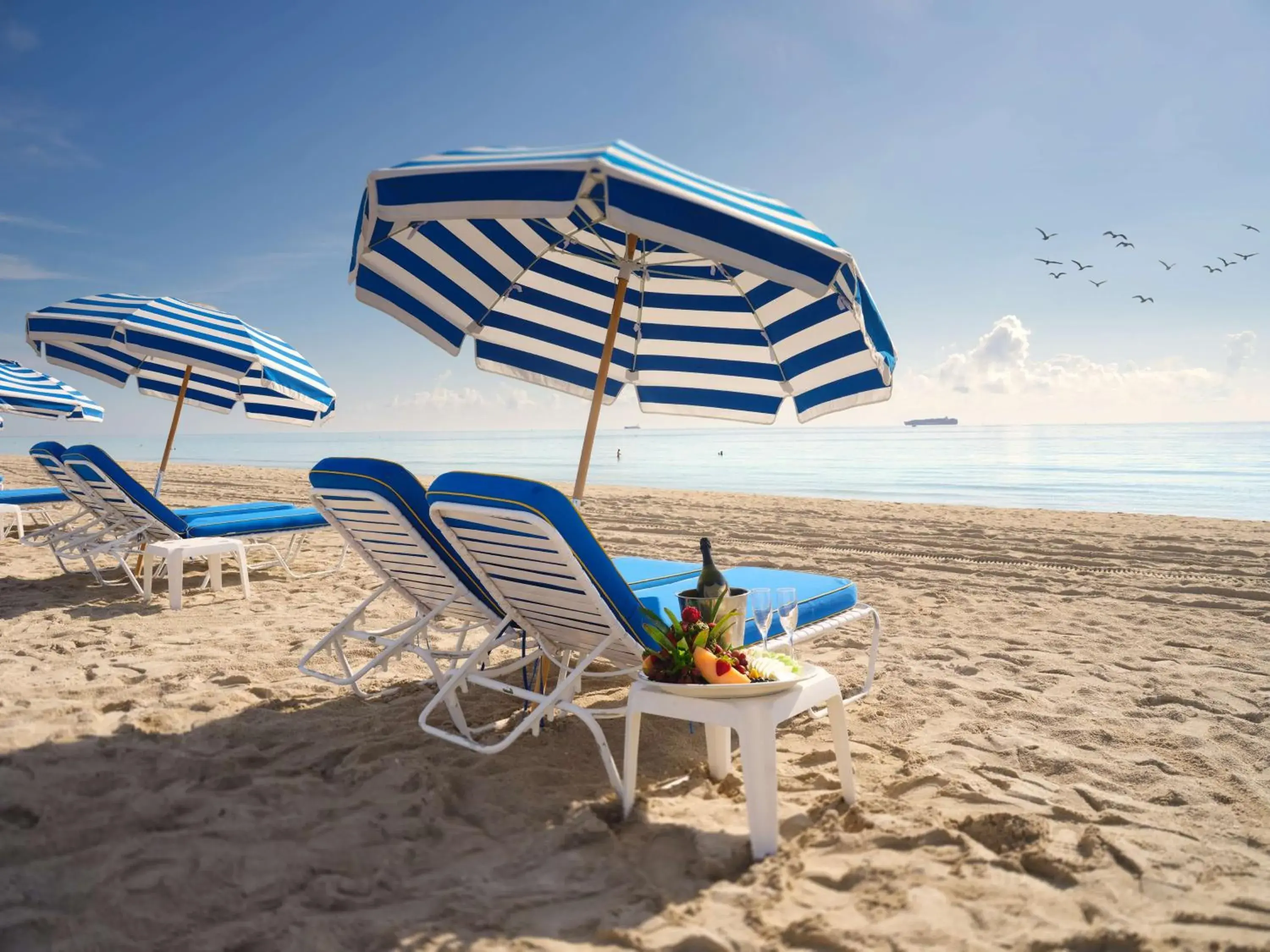 View (from property/room) in Hilton Bentley Miami South Beach View (from property/room) in Hilton Bentley Miami South Beach