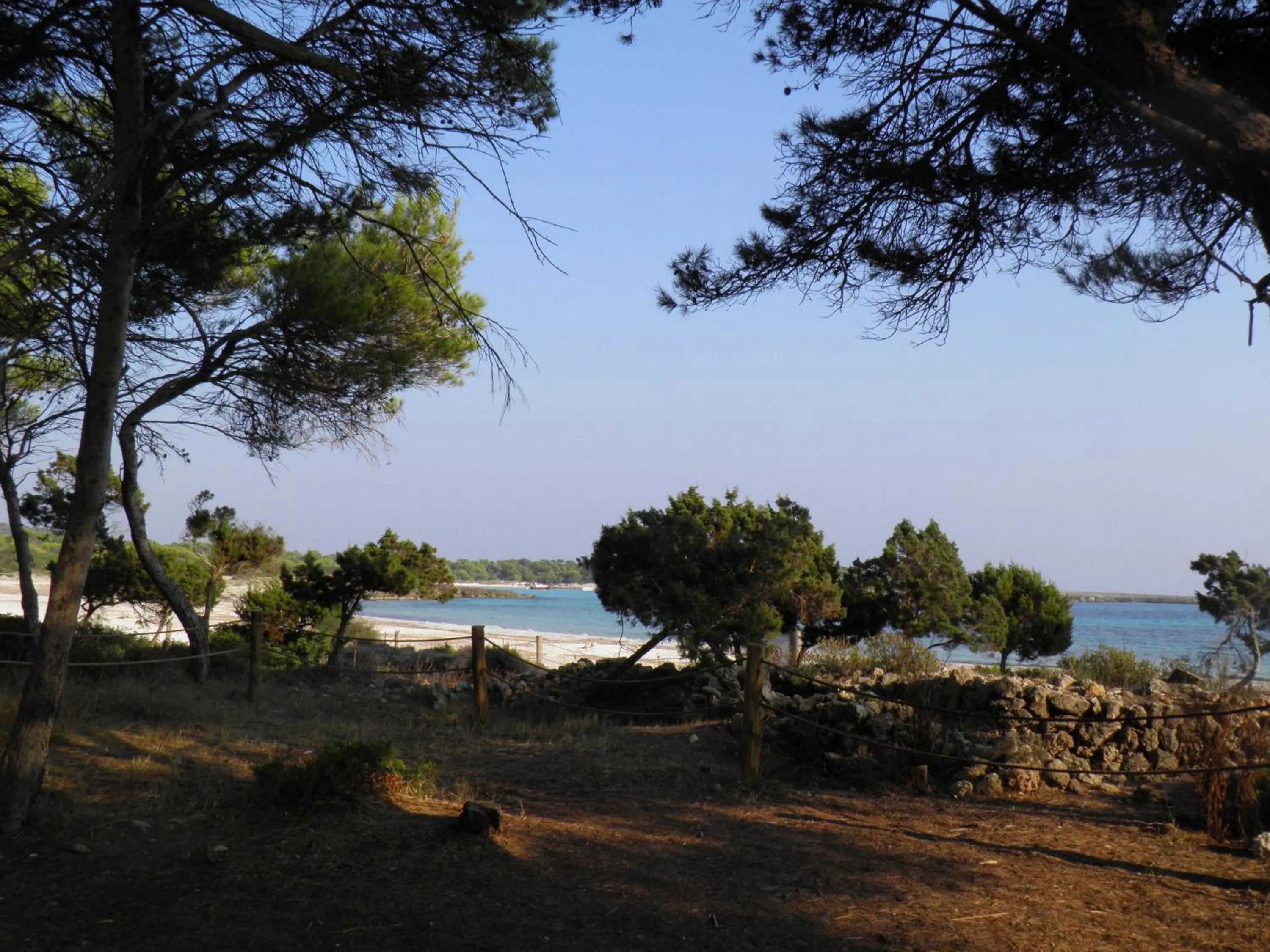 Area and facilities in Nure Cel Blau