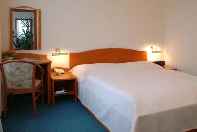 Photo of the whole room, Bed in Hotel Dukla