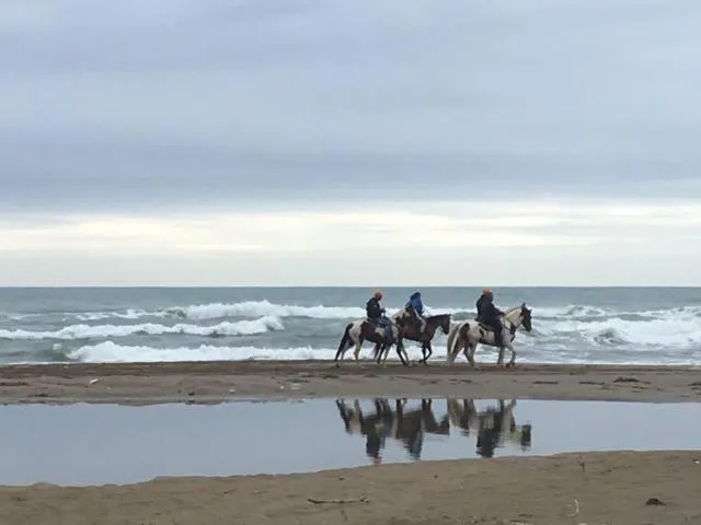 Day in Parco Dei Principi