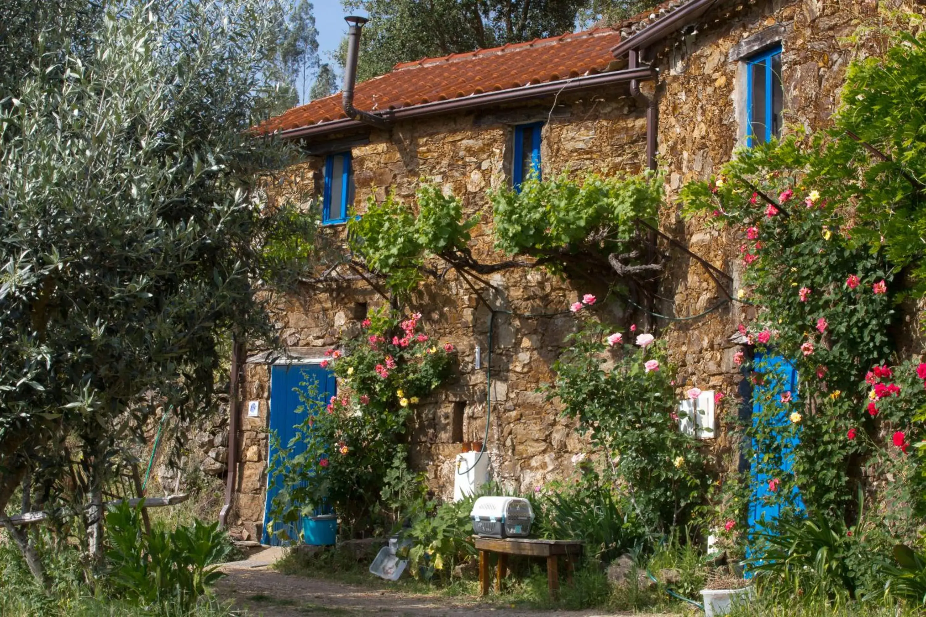 Guest Room Agro-turismo Quinta da Fonte Bed&Breakfast Guest Room Agro-turismo Quinta da Fonte Bed&Breakfast