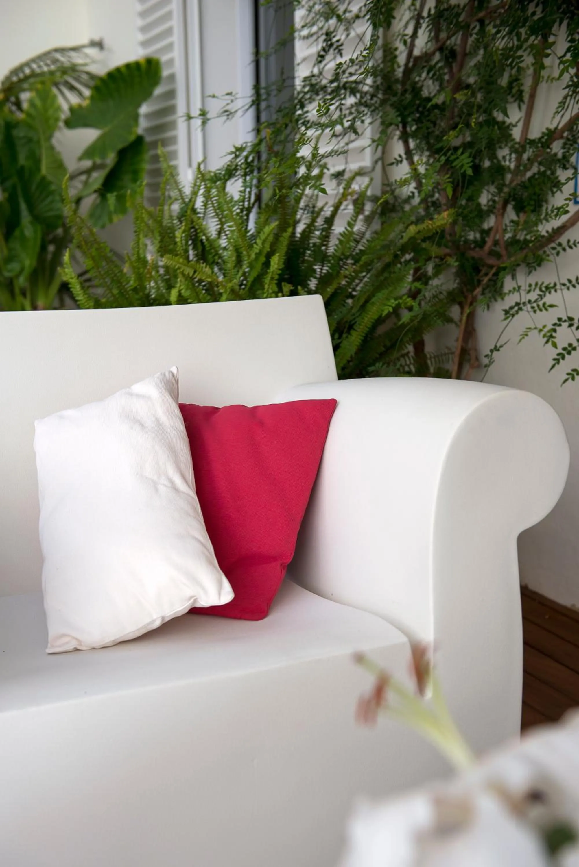 Garden in La Alcoba del Agua Hotel Boutique