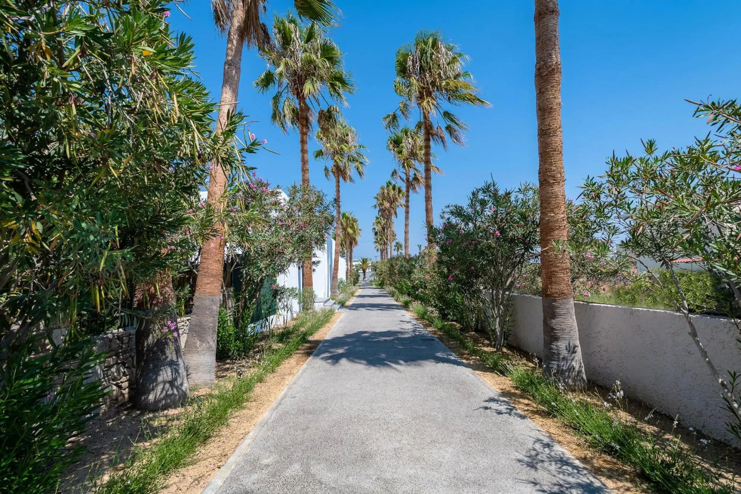 Facade/entrance in Diamond Boutique Hotel Facade/entrance in Diamond Boutique Hotel
