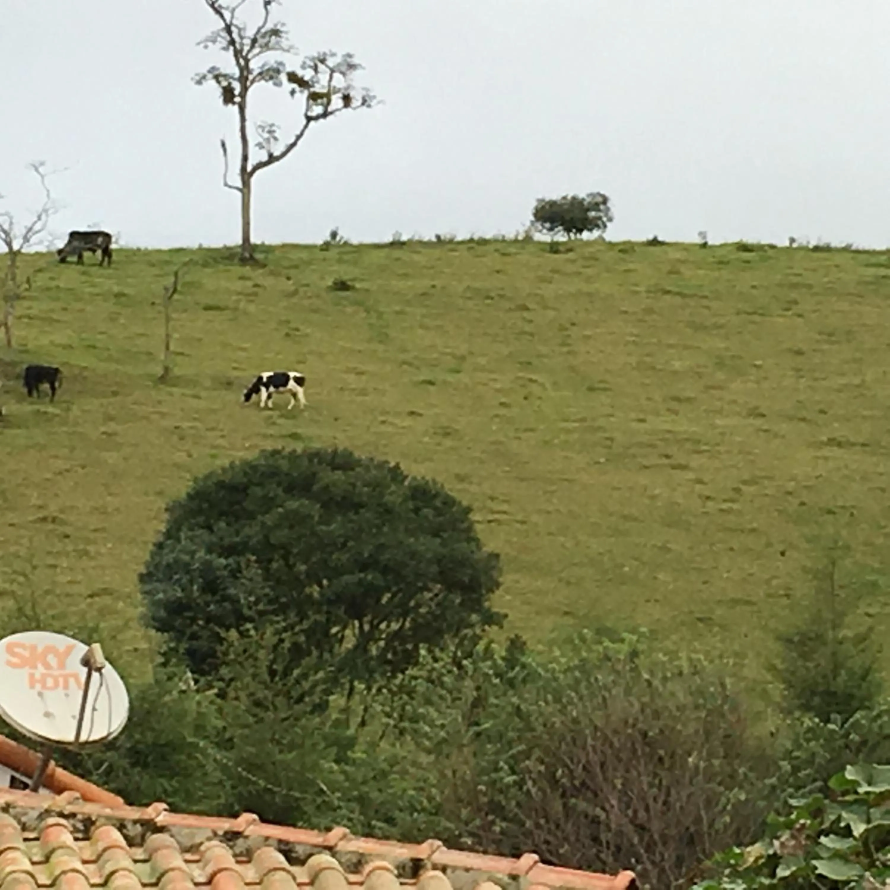 Mountain view in Pousada Casa Fazenda do Rio