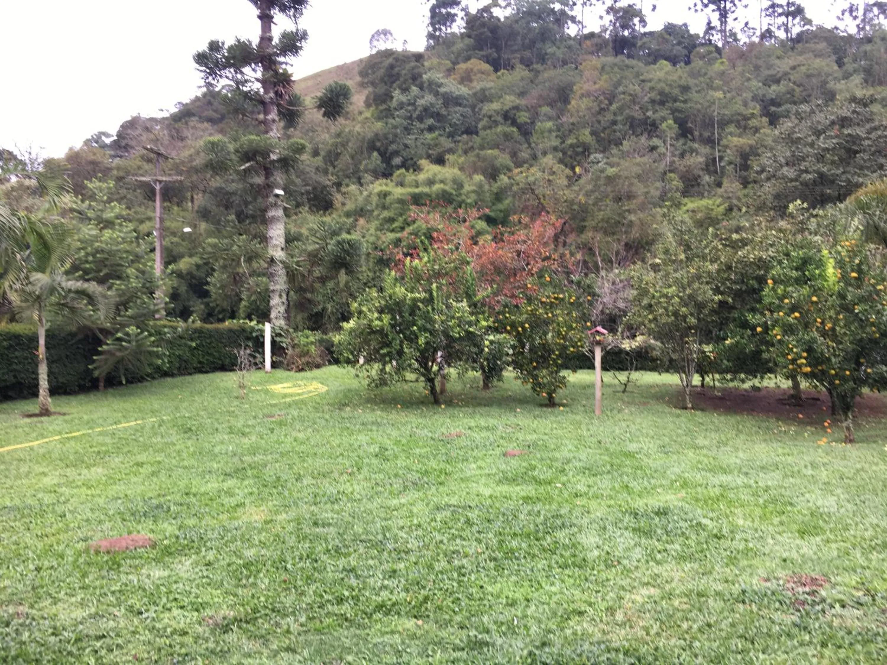 Garden view in Pousada Casa Fazenda do Rio