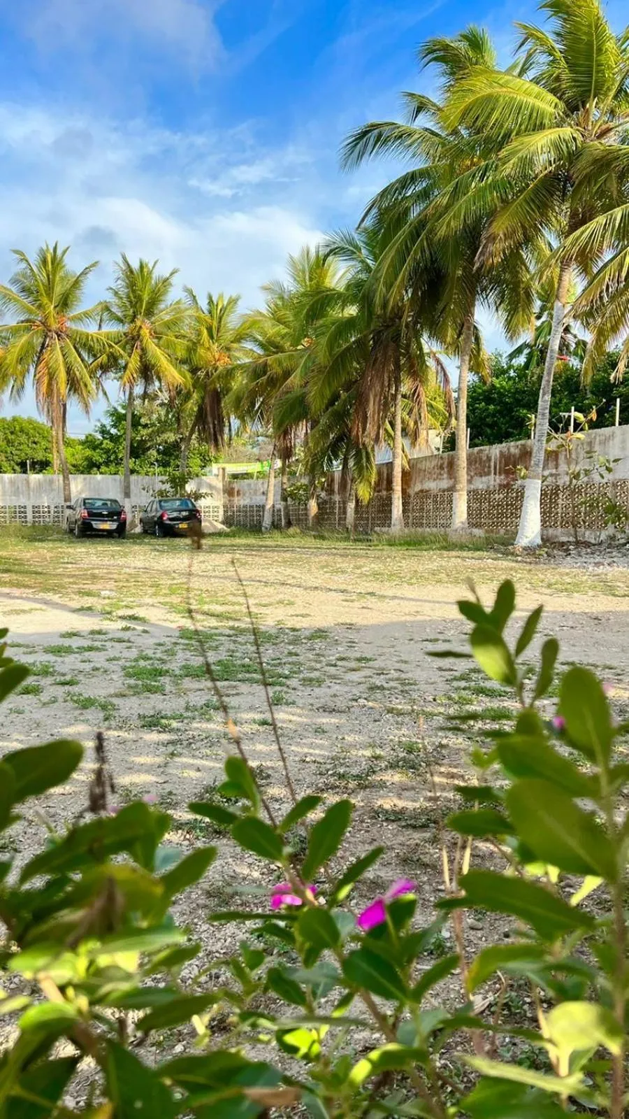 Parking in Hotel Montecarlo Beach