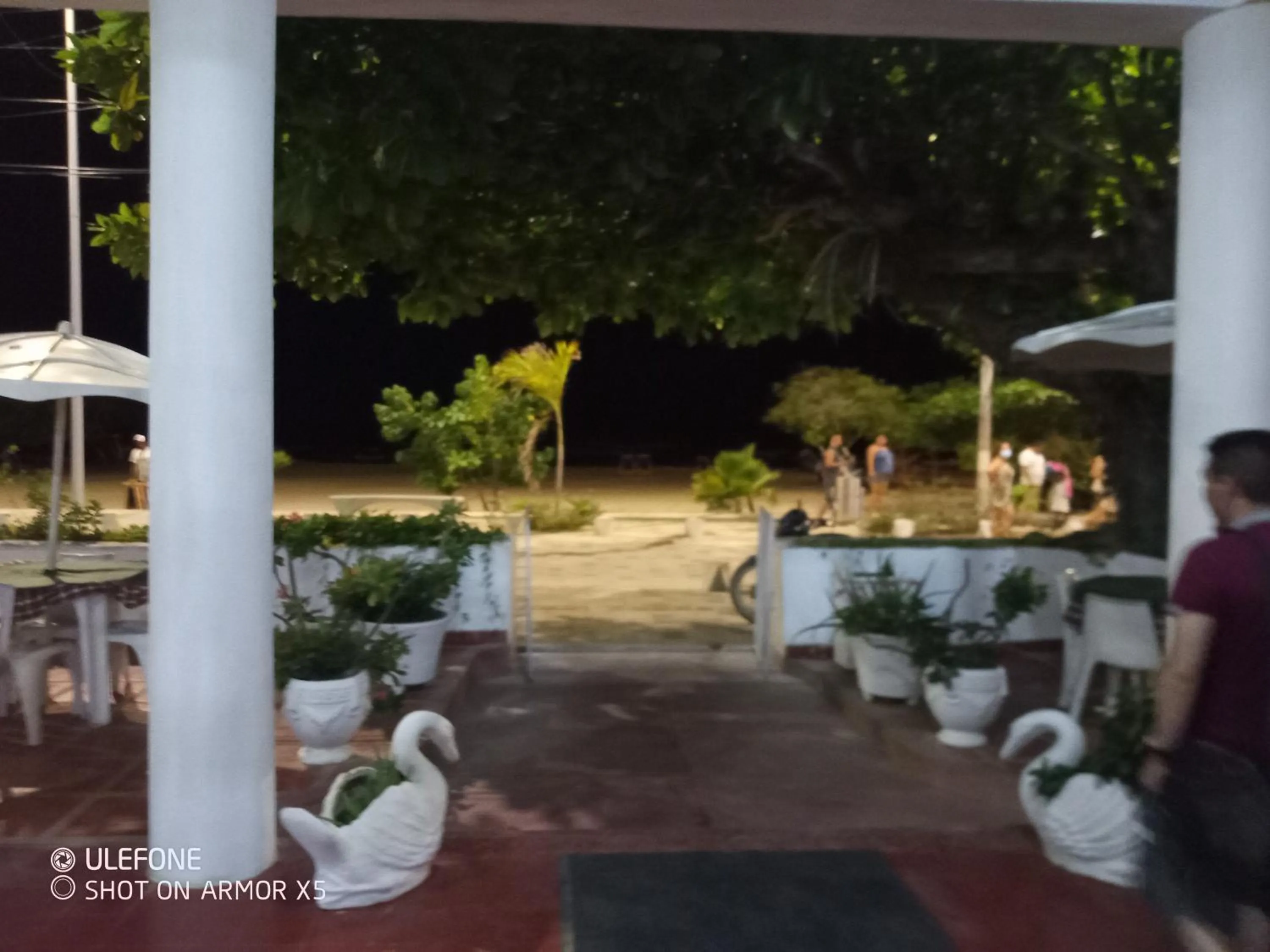 Balcony/Terrace in Hotel Montecarlo Beach