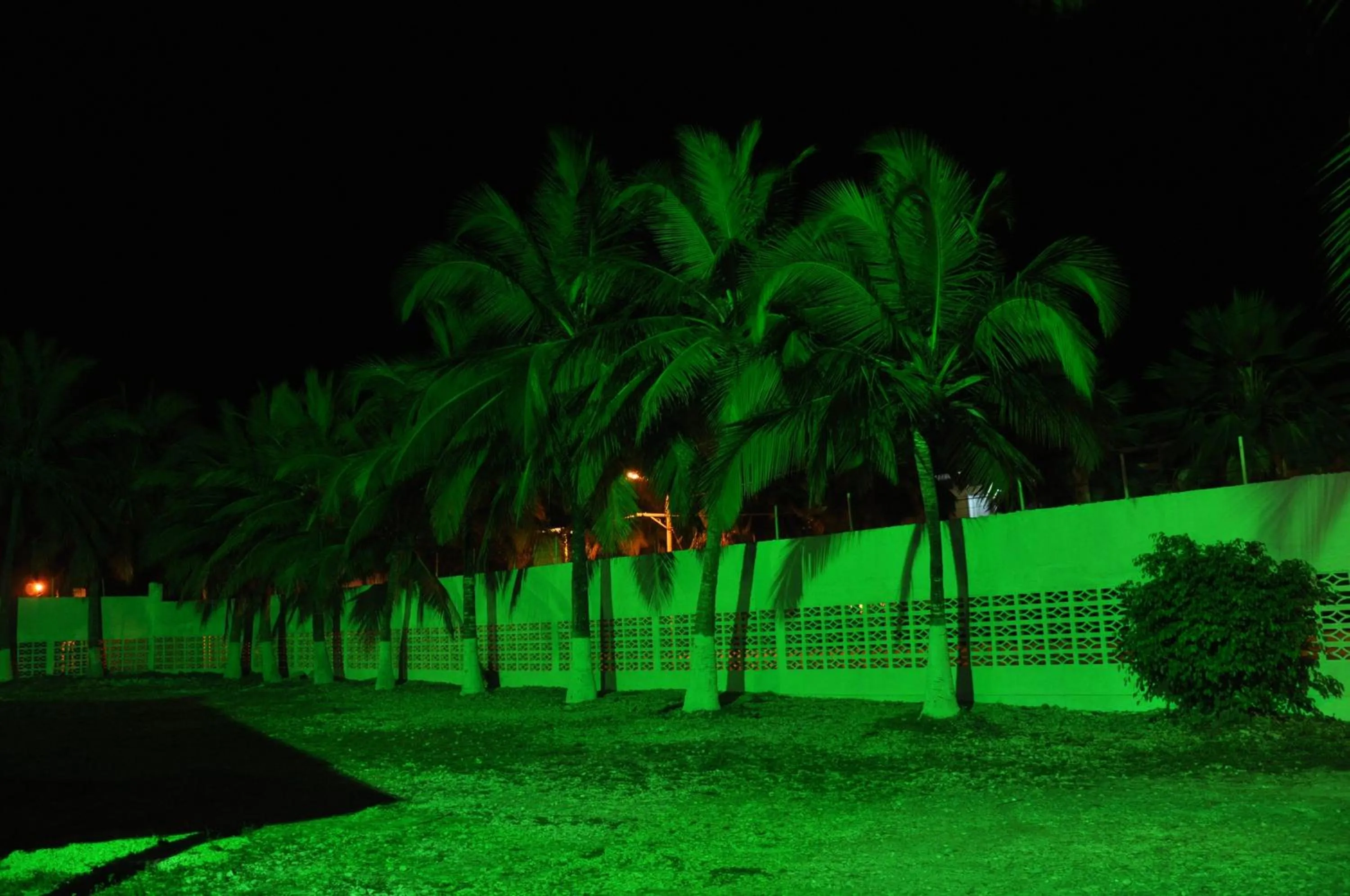 Garden in Hotel Montecarlo Beach