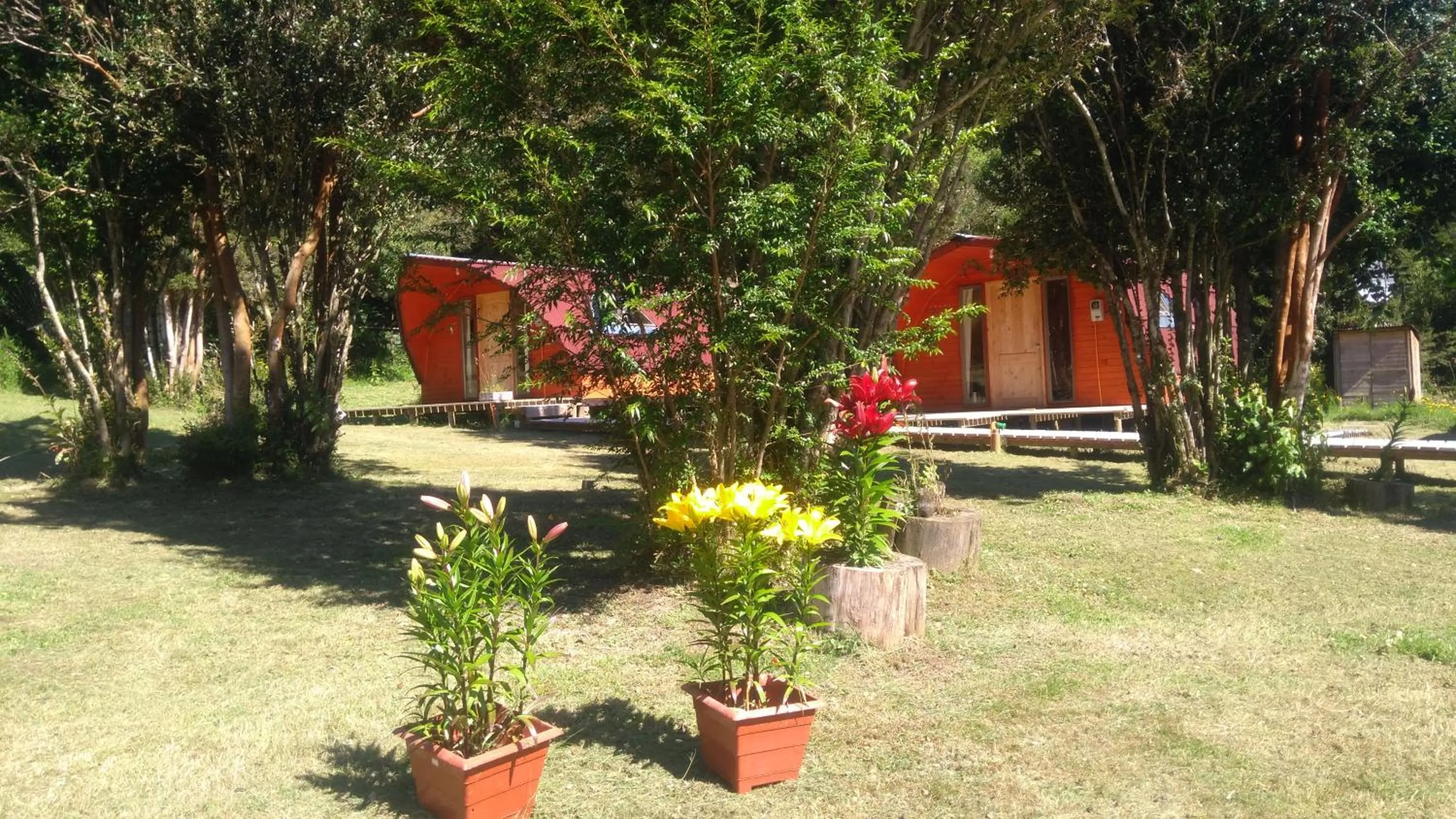 Garden in Eco Cabañas Wanderlust