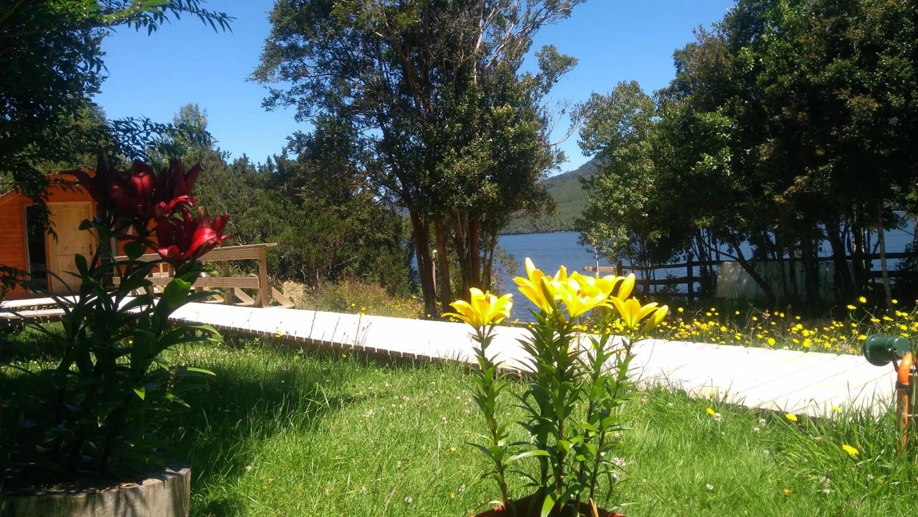 Garden view in Eco Cabañas Wanderlust