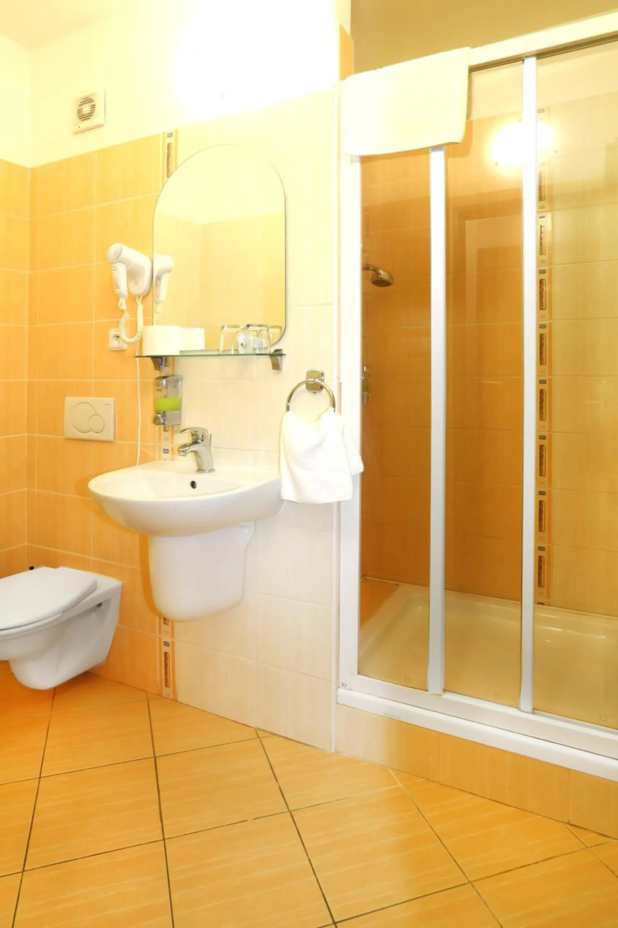 Superior Double Room - single occupancy in Hotel Strážnice Superior Double Room - single occupancy in Hotel Strážnice