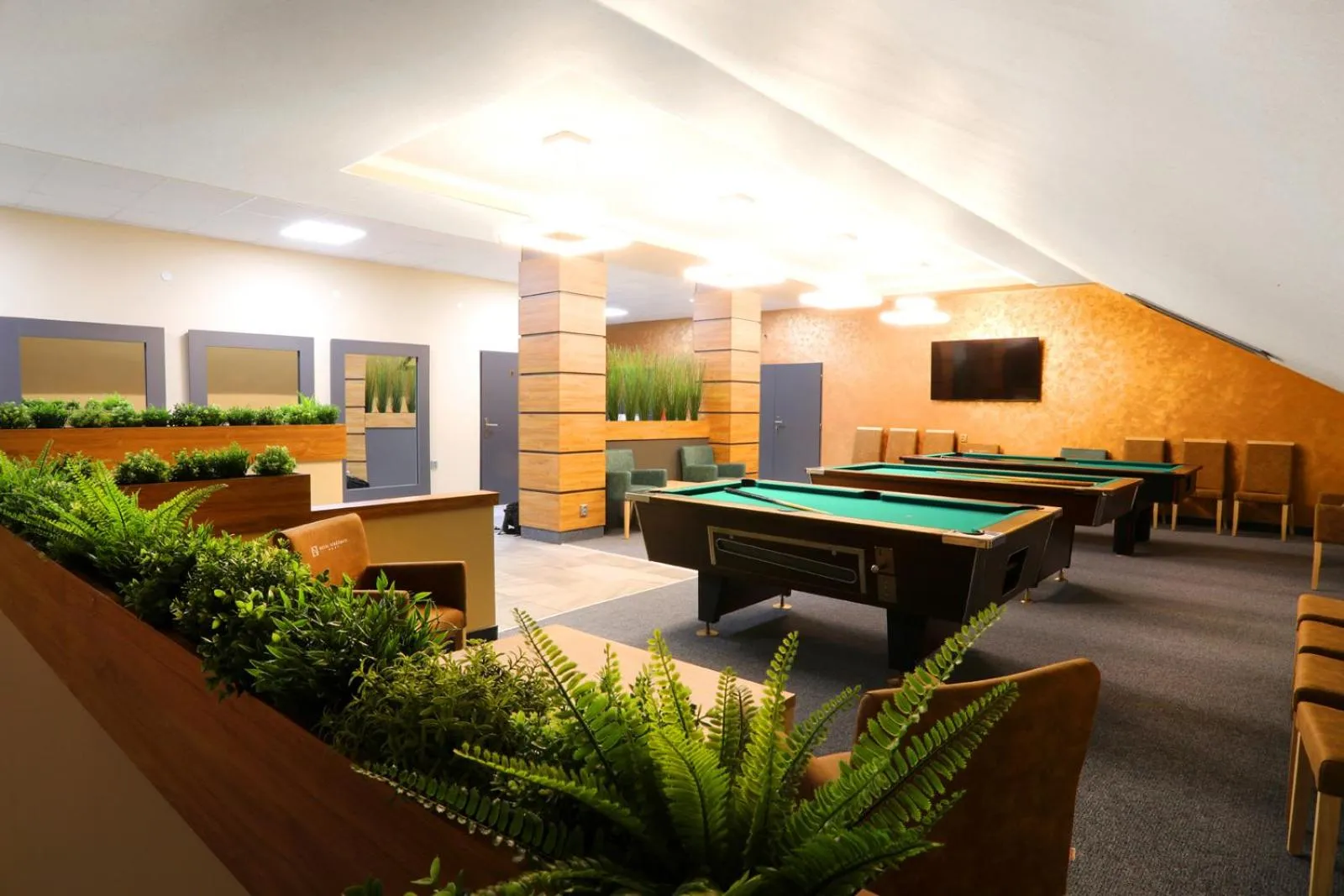 Game Room in Hotel Strážnice