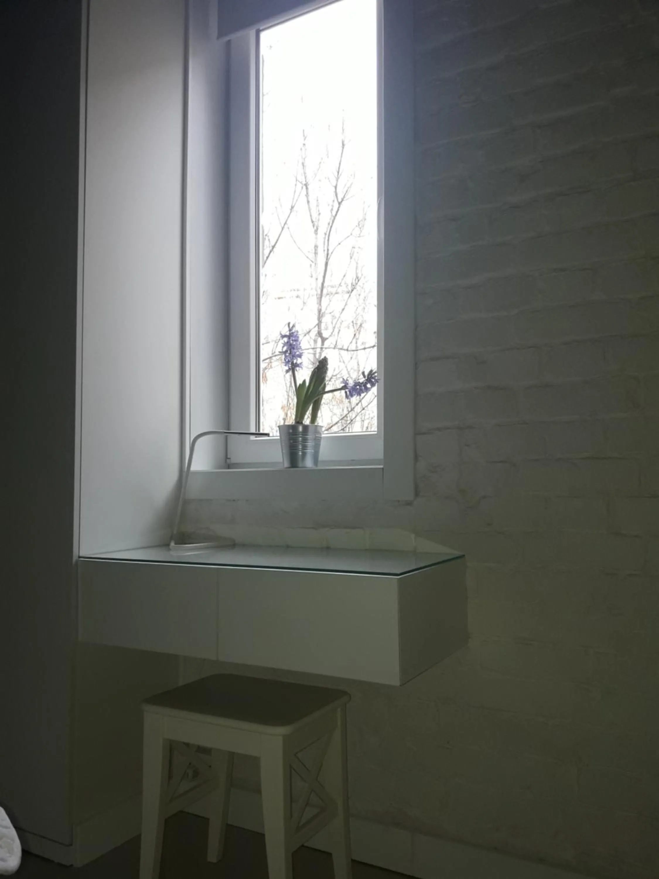 Momo Apartment