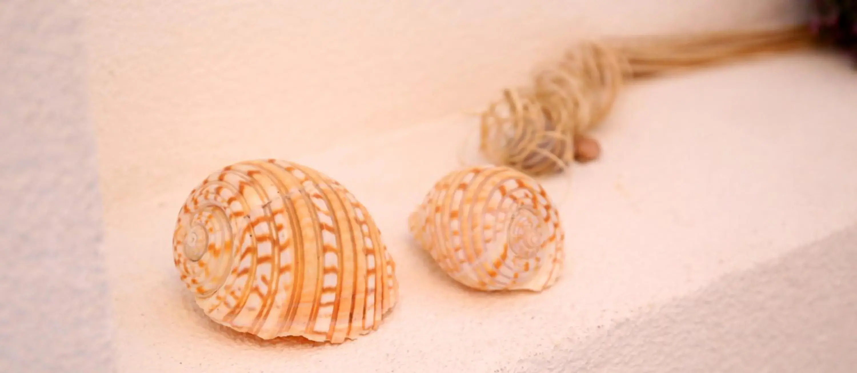 Standard Triple Room in Apartments Nikolla Standard Triple Room in Apartments Nikolla