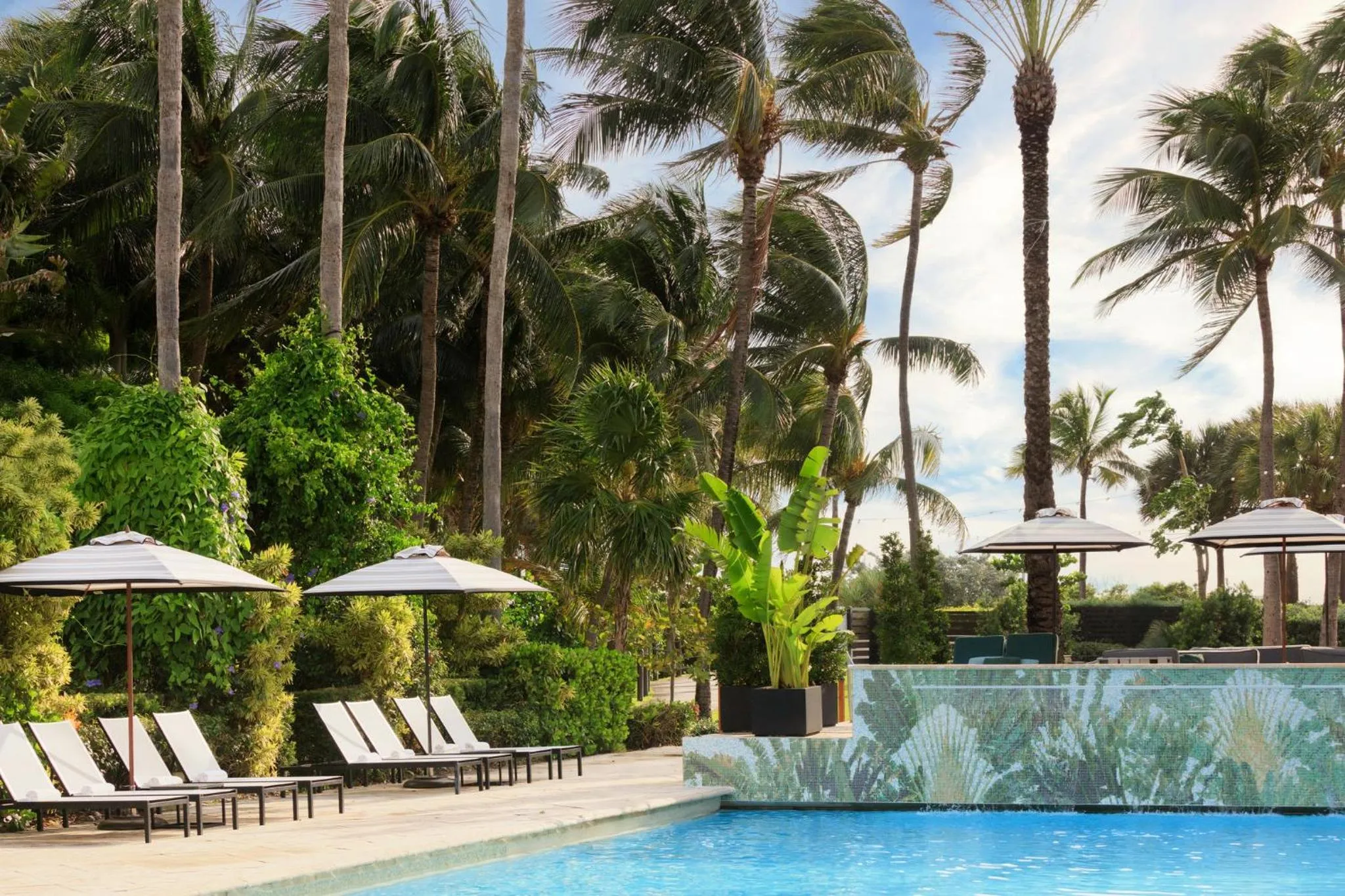 Swimming pool in Kimpton Surfcomber Hotel by IHG