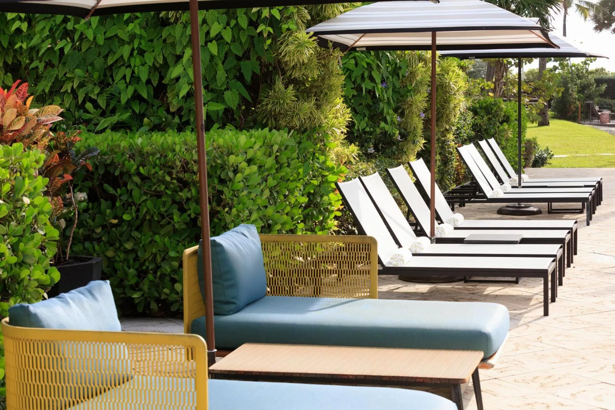 Swimming pool in Kimpton Surfcomber Hotel by IHG