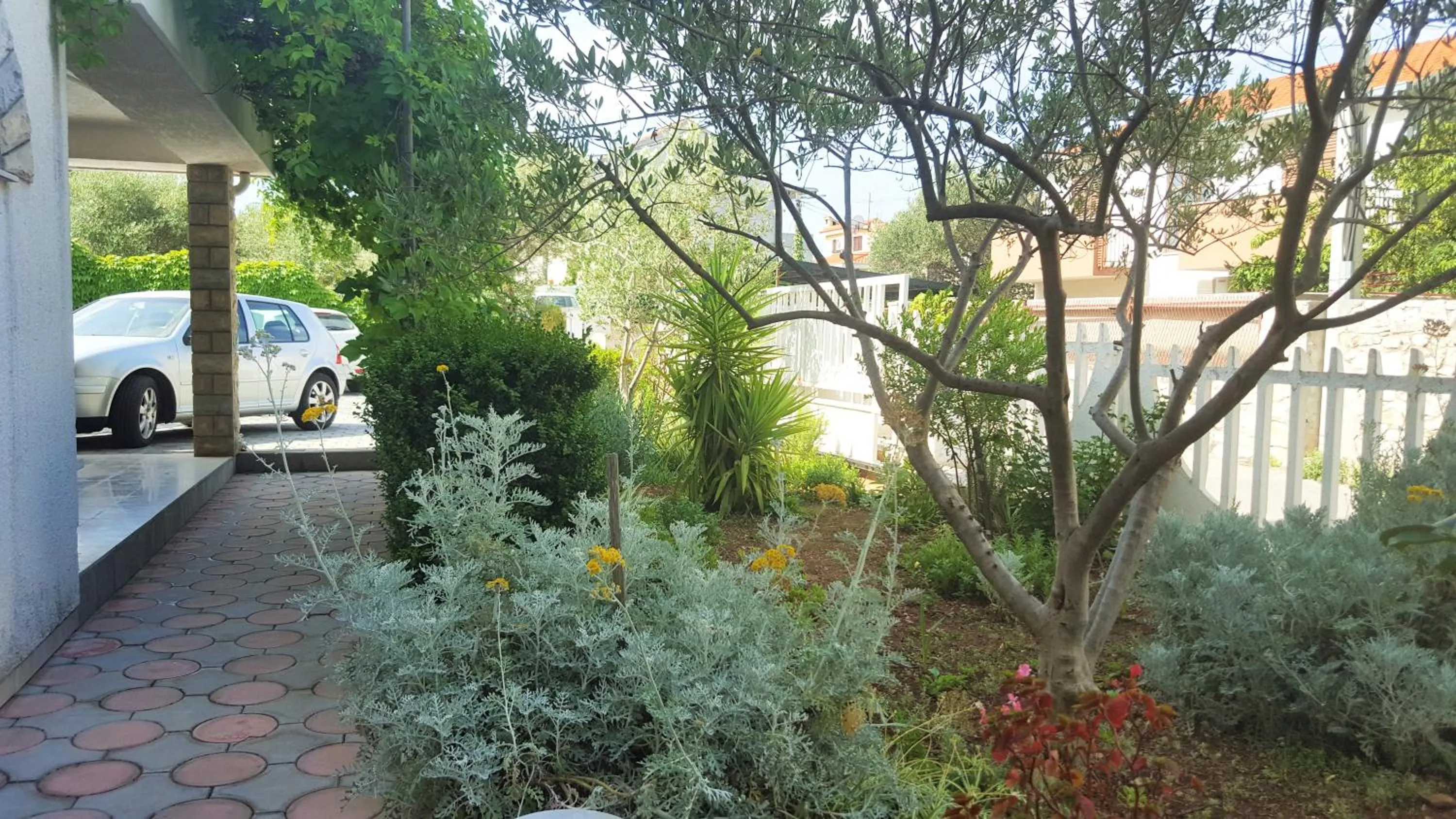 Natural landscape in Apartments Vojin