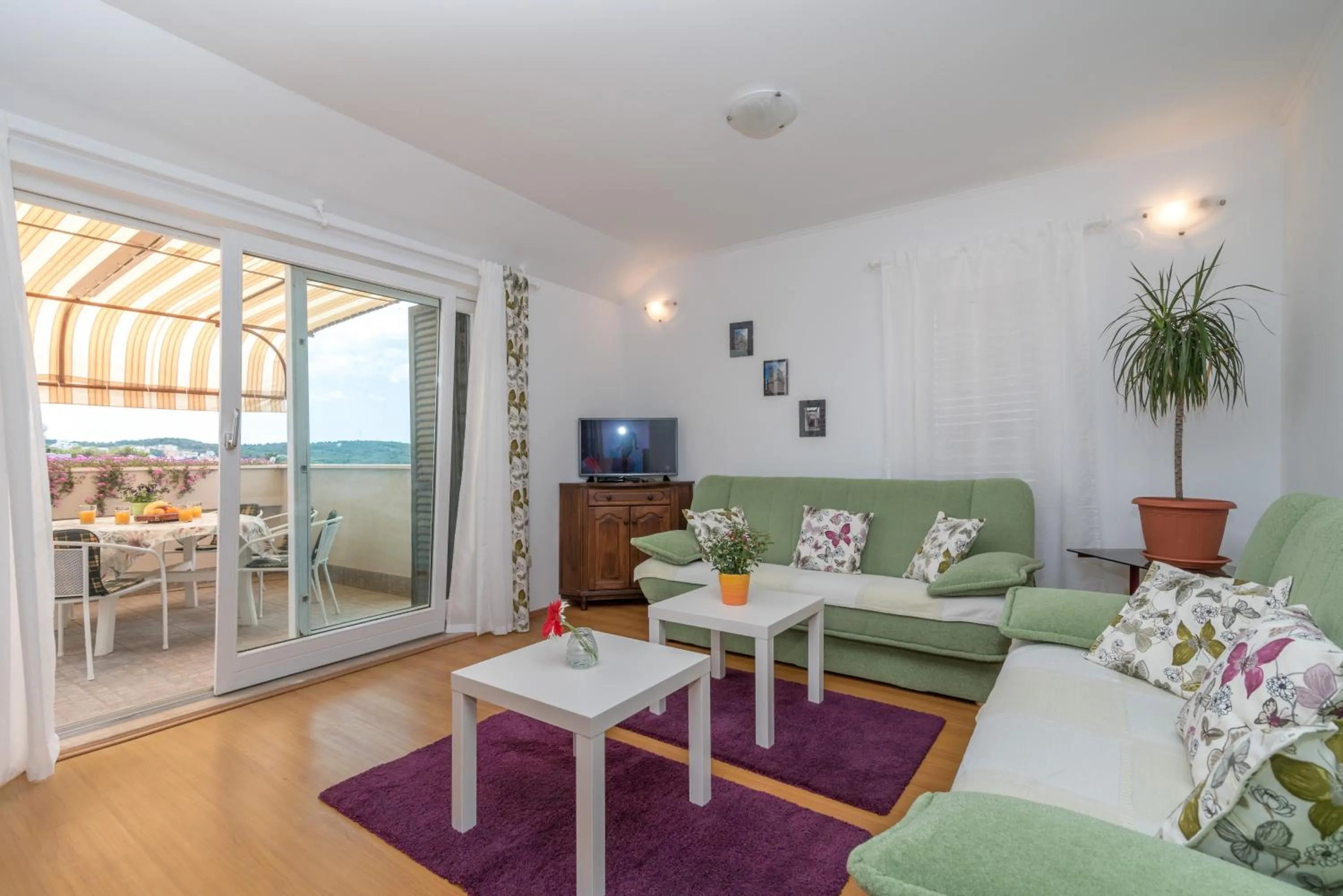 Summer in Apartments Vojin